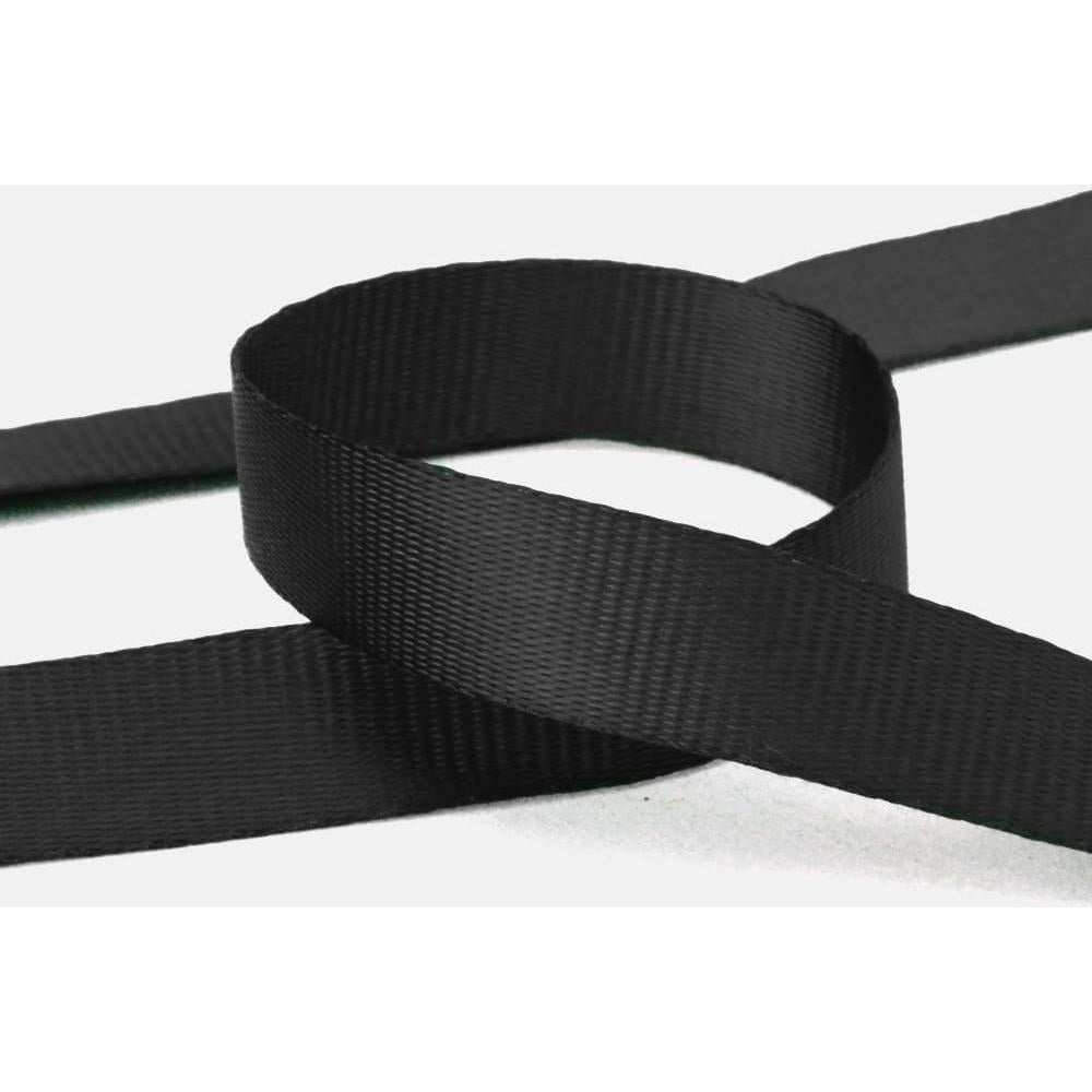 Cintas de Identificación SLanC 50 Pcs Nylon Negro 47cm