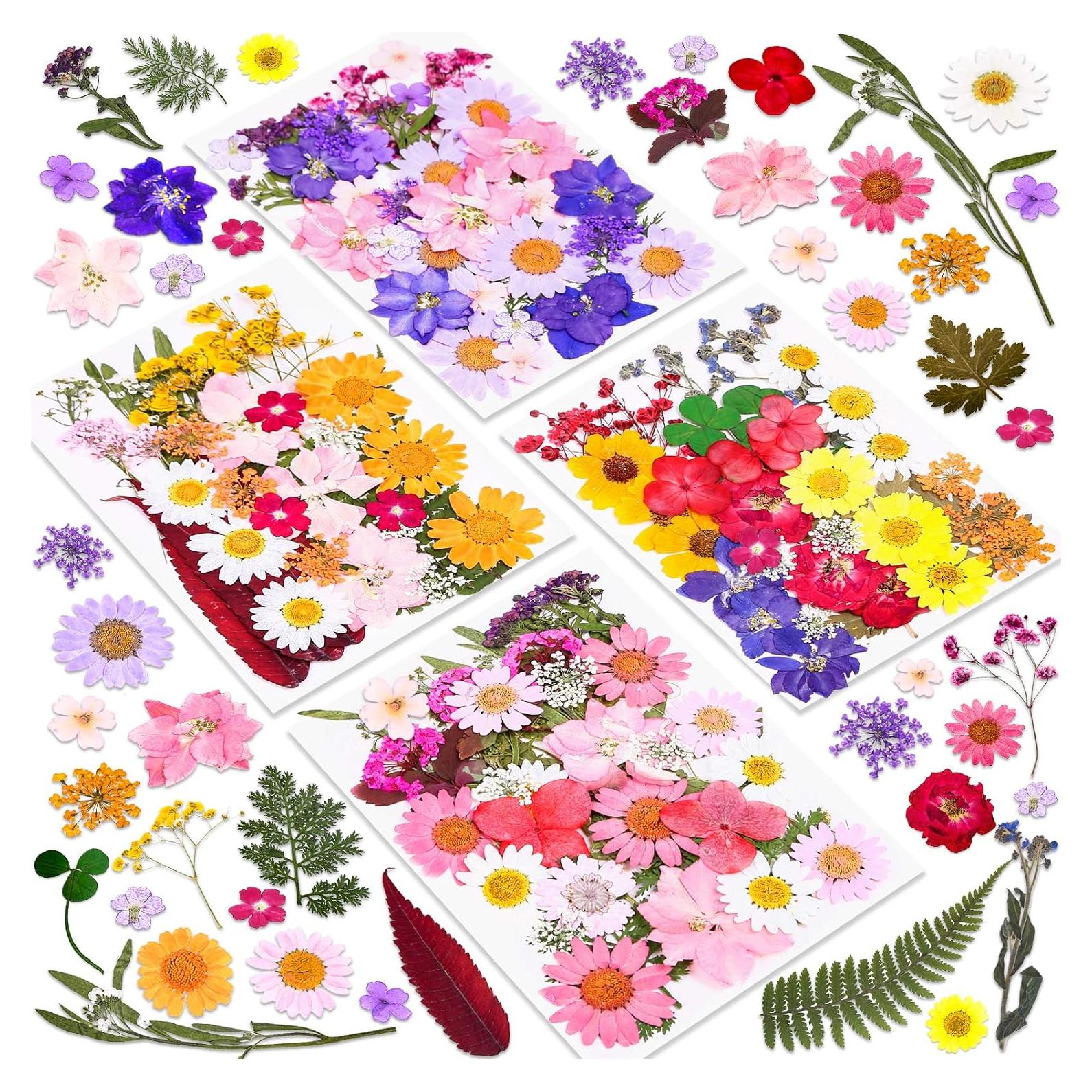 Kit de 140 Flores Secas Prensadas Cruzix para Manualidades