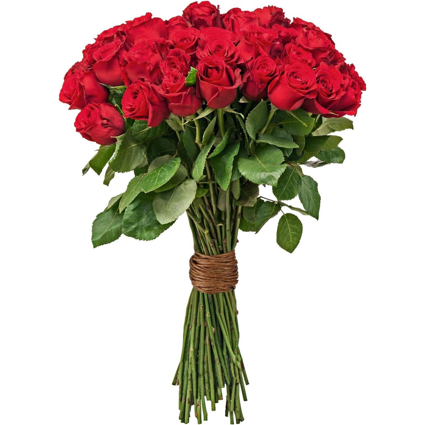 Alambre Floral Syhood 205.7m Rústico Marrón Impermeable