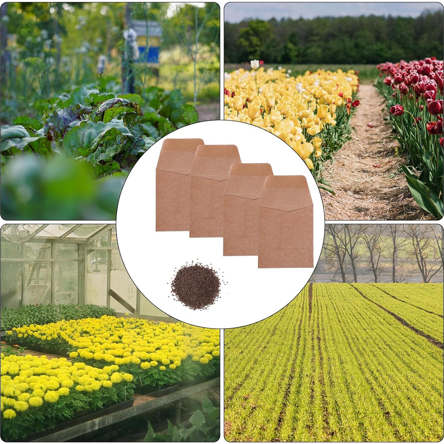 Sobres Pequeños Tuhangcc 100 Unidades Kraft Autoadhesivos 8x9 cm