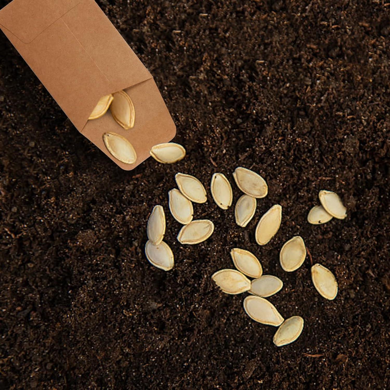 Sobres Pequeños Tuhangcc 100 Unidades Kraft Autoadhesivos 8x9 cm