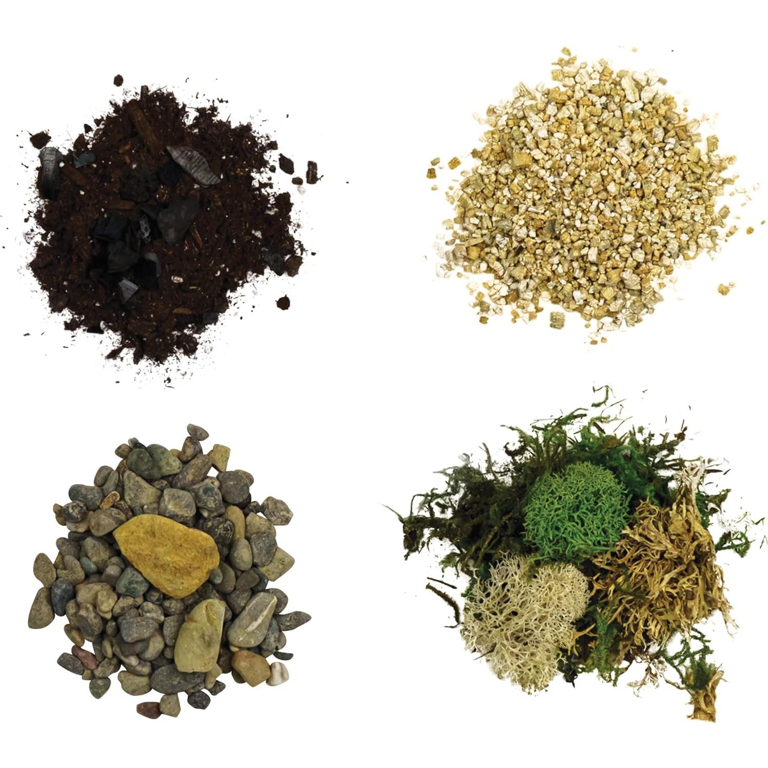 Kit de Inicio para Terrario Cute Farms - Musgo, Tierra y Herramientas