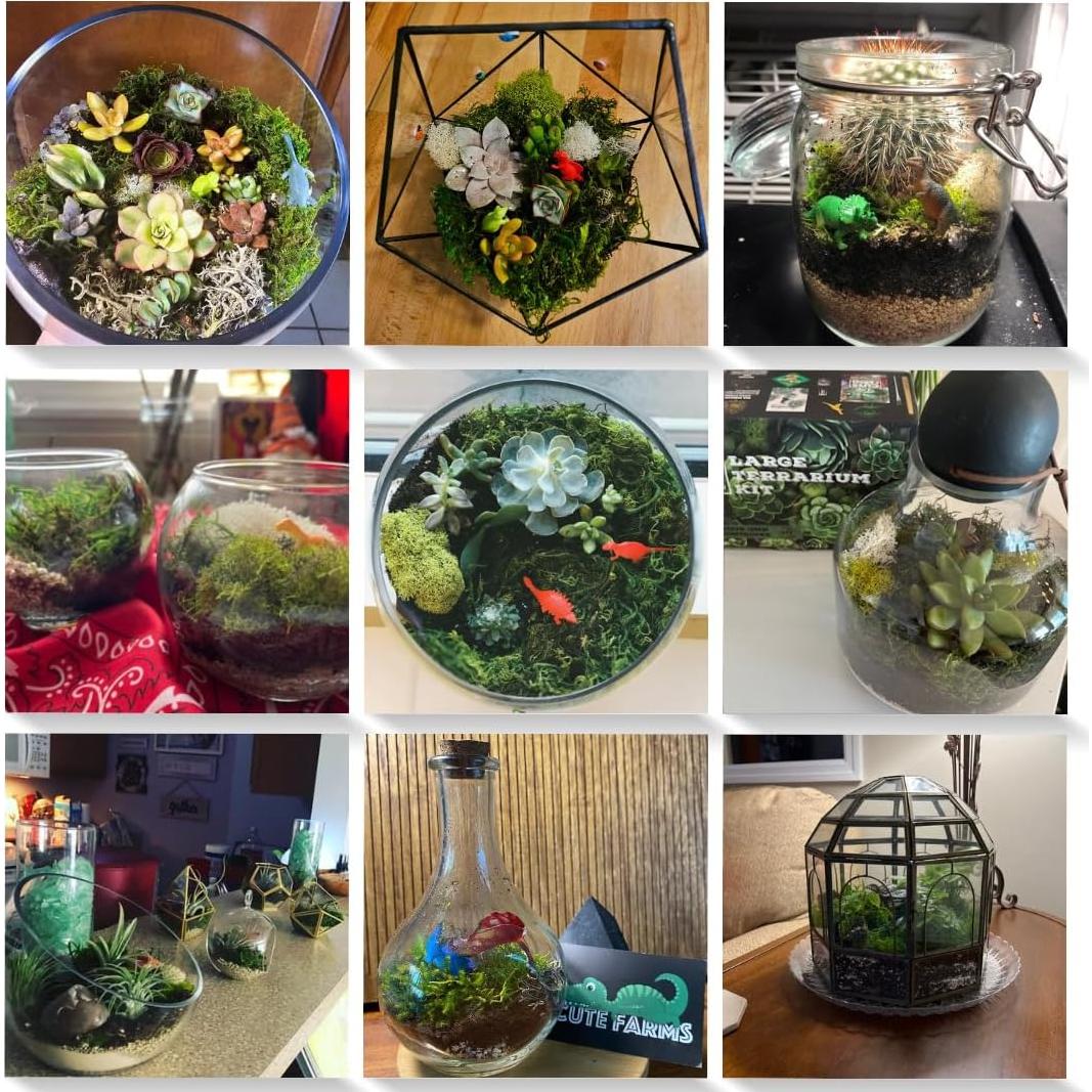 Kit de Inicio para Terrario Cute Farms - Musgo, Tierra y Herramientas