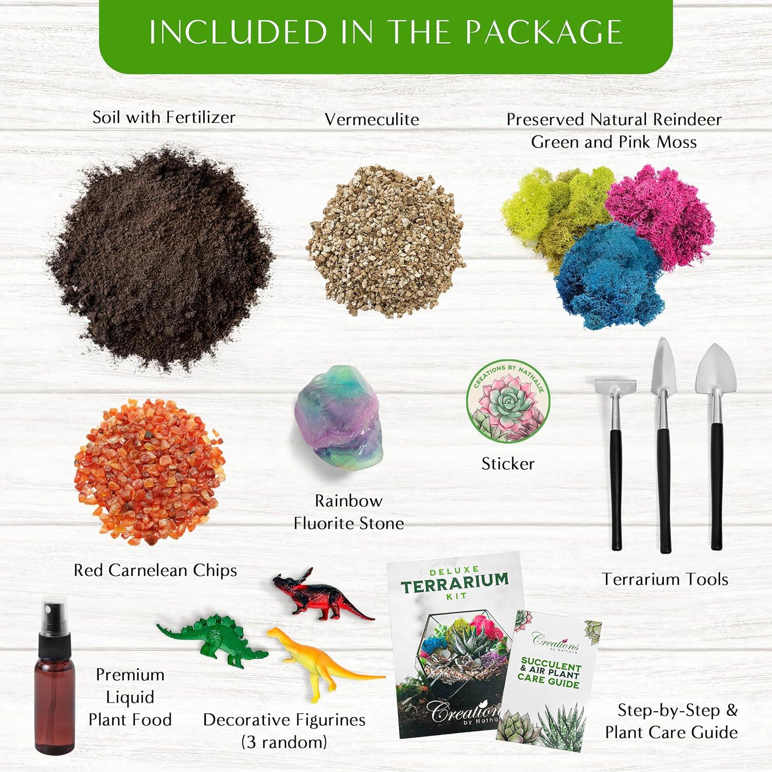 Kit de Terrario DIY Pequeño Creaciones de Nathalie - 11 Piezas