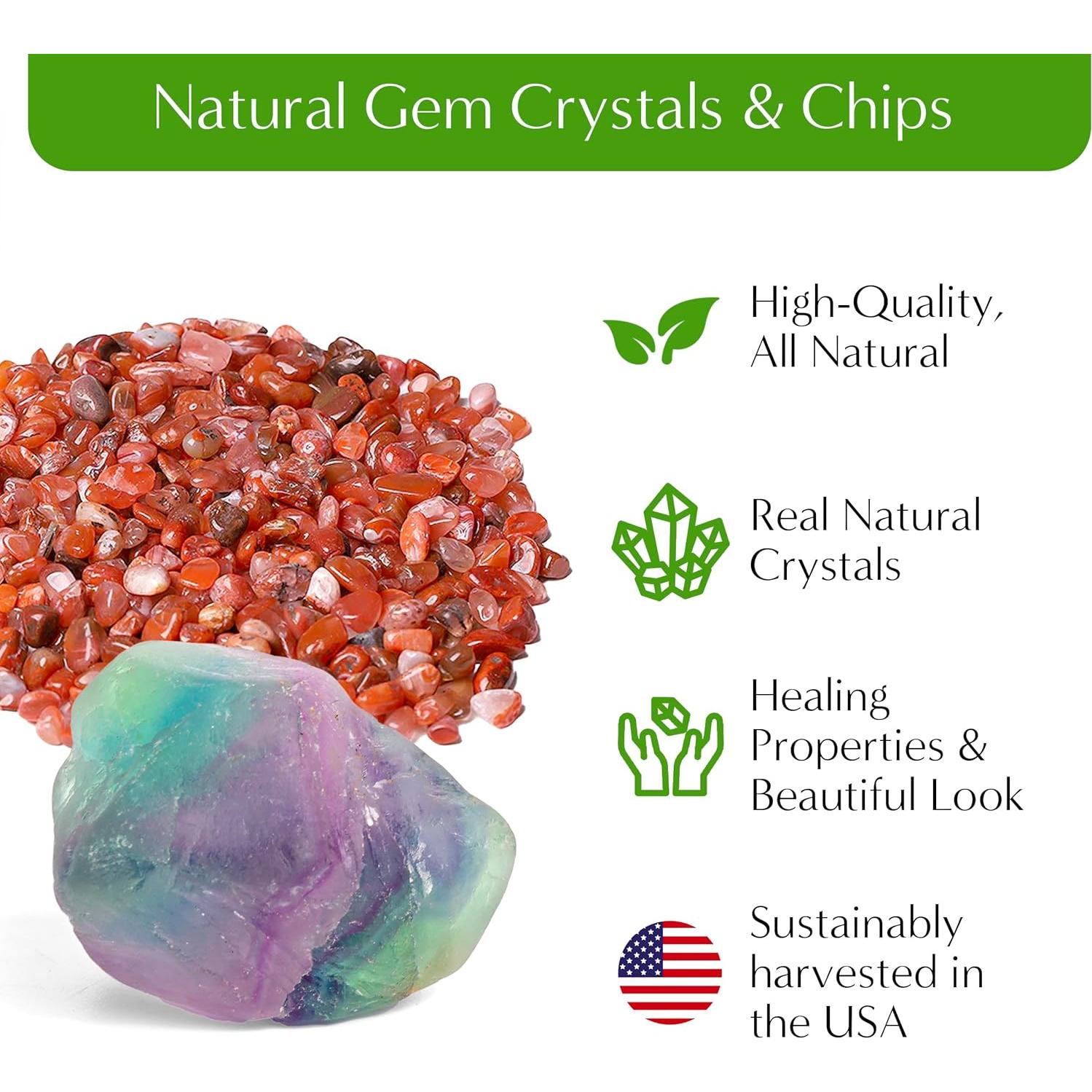 Kit de Terrario DIY Pequeño Creaciones de Nathalie - 11 Piezas