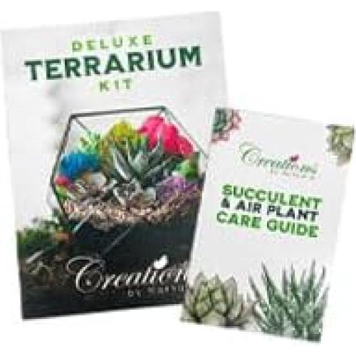 Kit de Terrario DIY Pequeño Creaciones de Nathalie - 11 Piezas