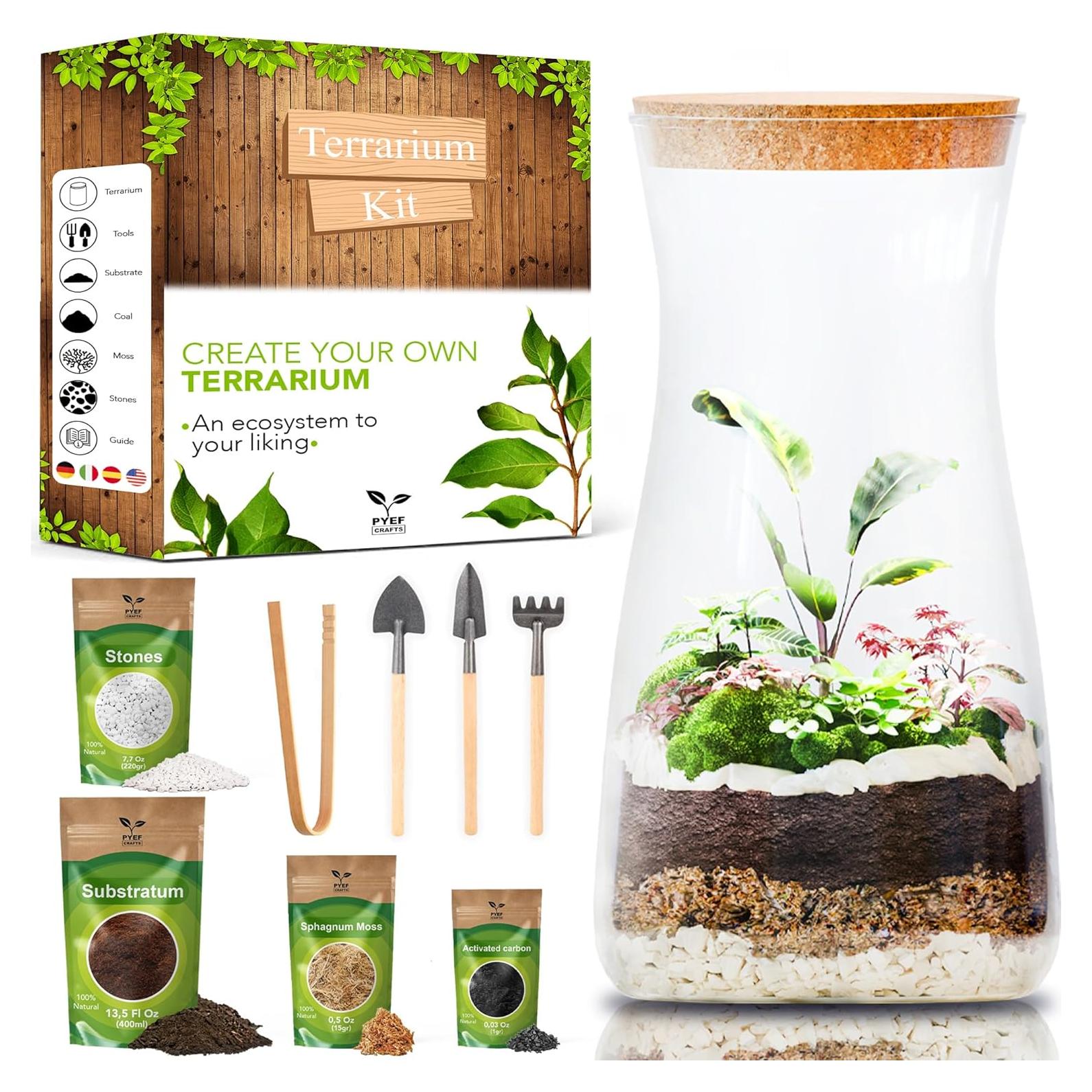 Kit de Terrario DIY PYEF CRAFTS - Incluye Materiales y Herramientas