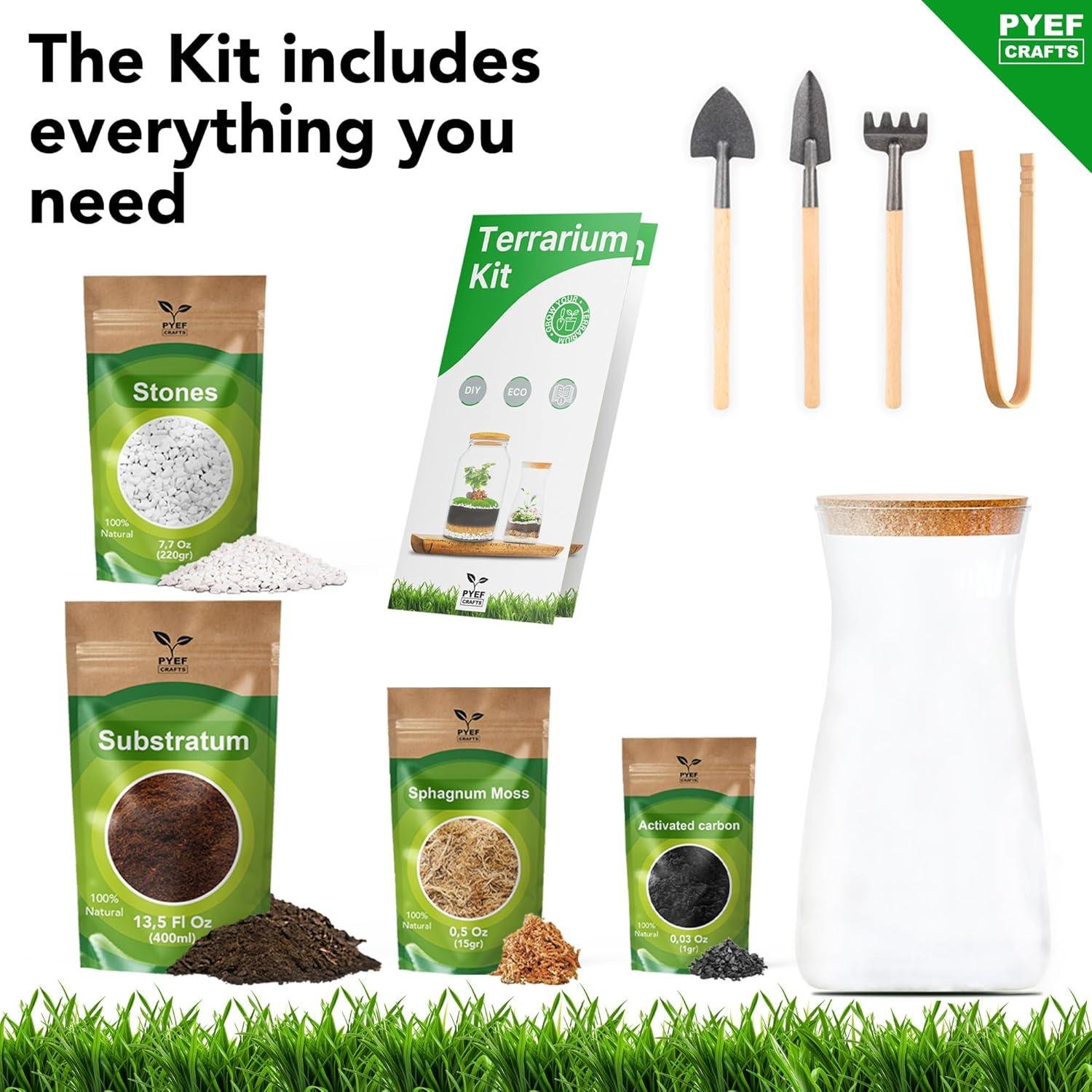 Kit de Terrario DIY PYEF CRAFTS - Incluye Materiales y Herramientas