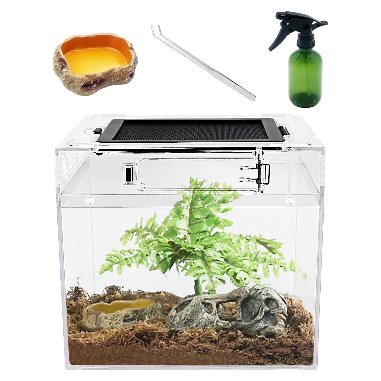 Terrario de PC para Reptiles 20.32 cm Crecimiento de Reptiles
