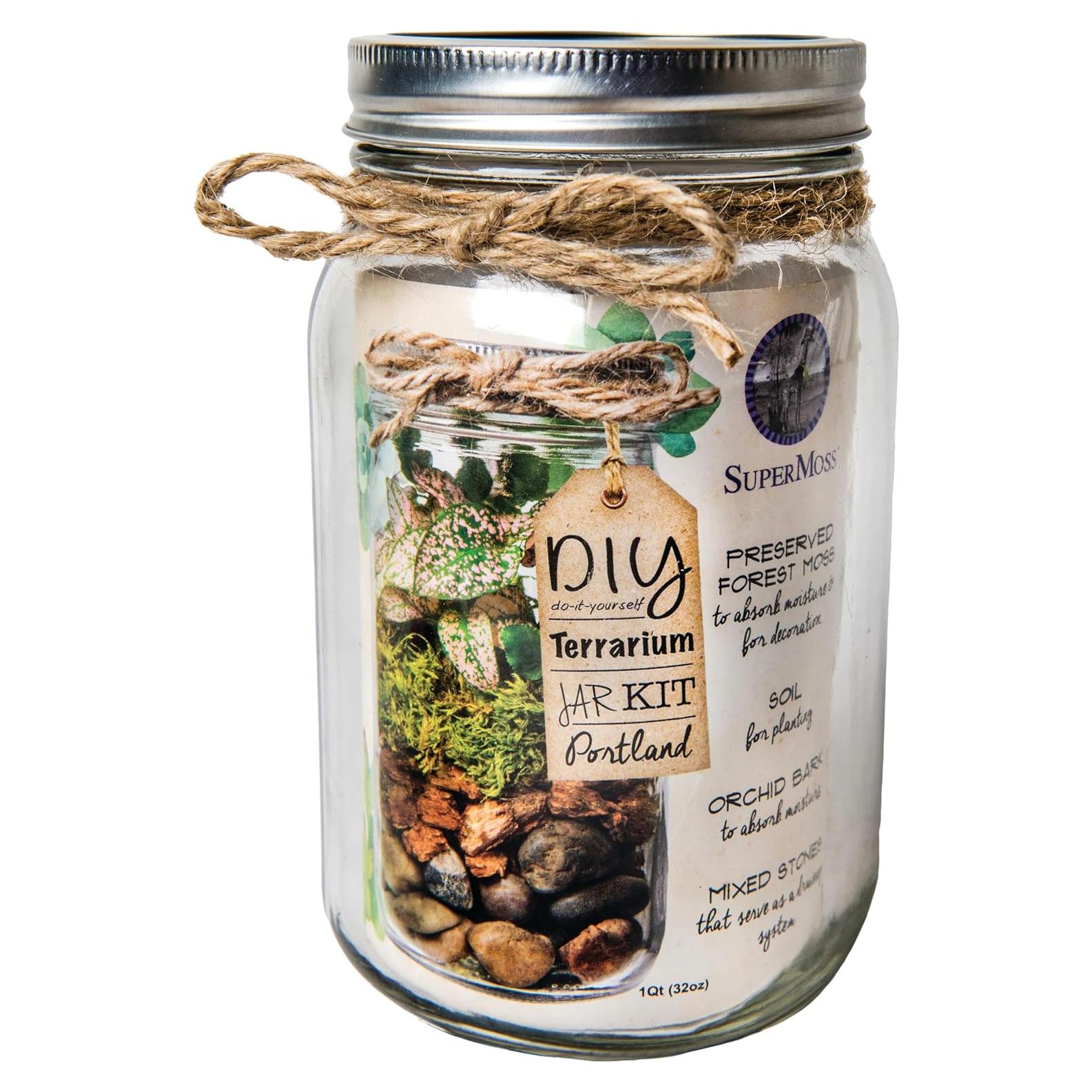 Kit de Terrario DIY SuperMoss Portland - Tarro de 8.89 cm