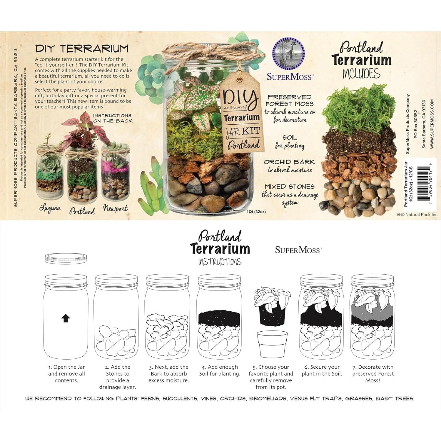 Kit de Terrario DIY SuperMoss Portland - Tarro de 8.89 cm