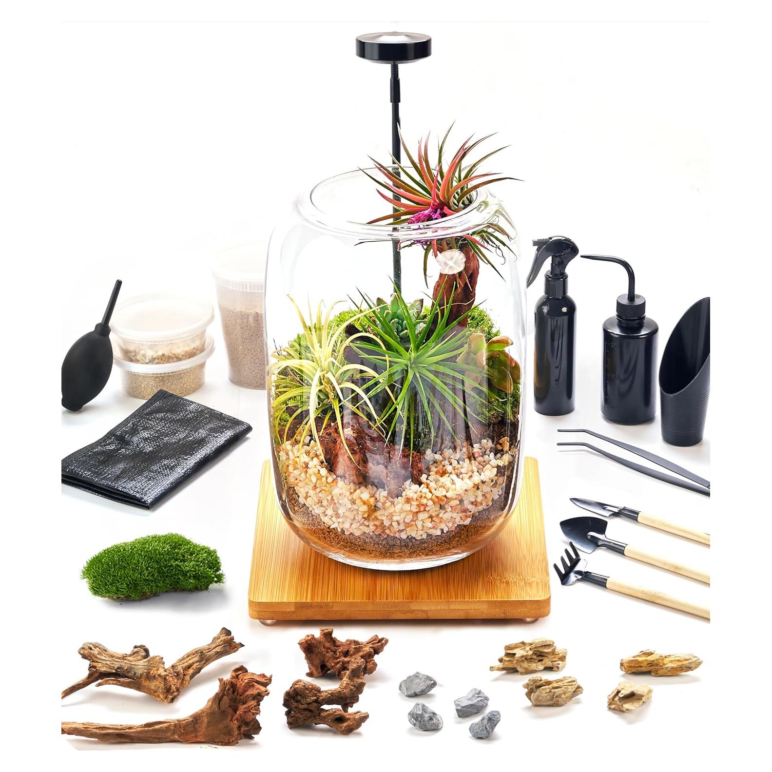 Kit de Terrario LUCKY PLANT con Luz de Crecimiento y Suministros