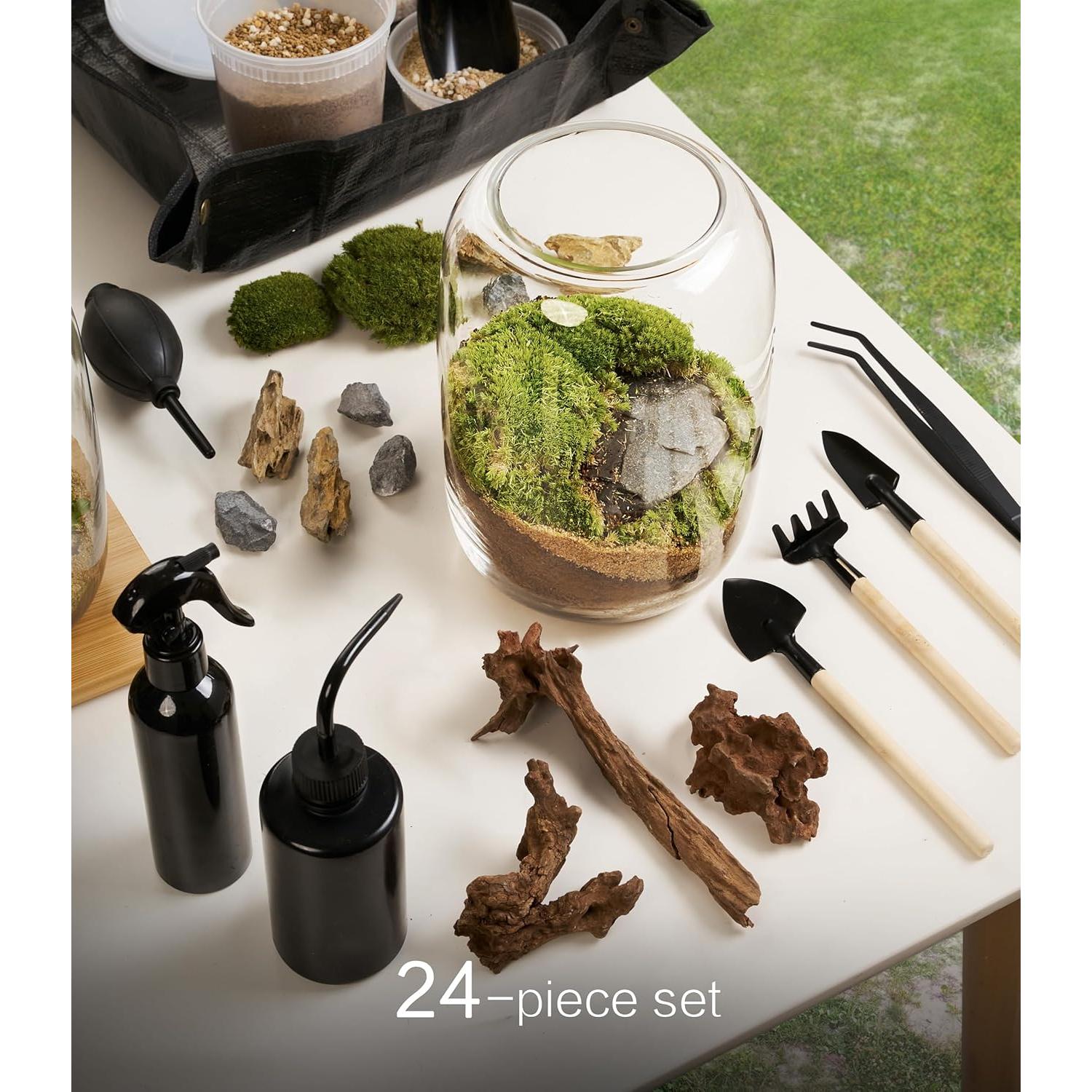 Kit de Terrario LUCKY PLANT con Luz de Crecimiento y Suministros