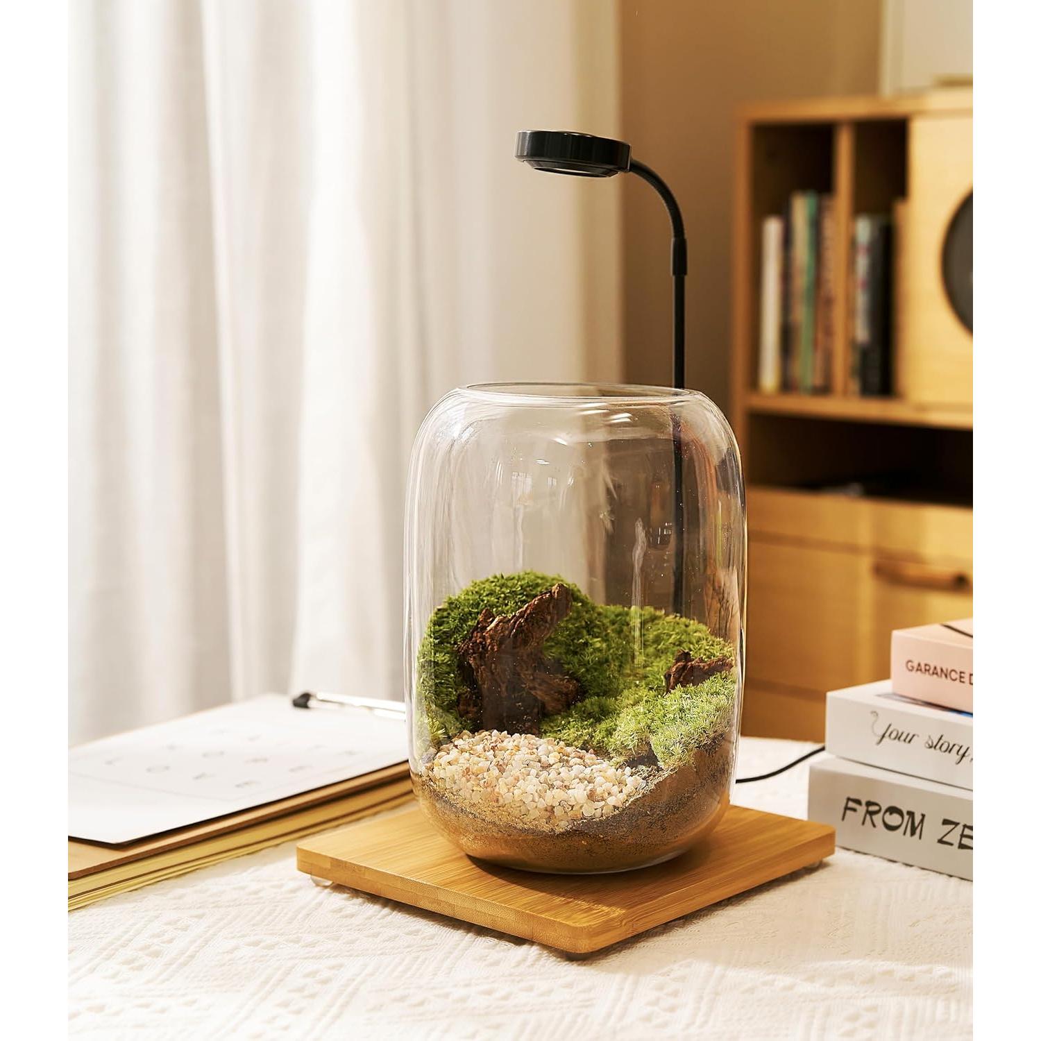Kit de Terrario LUCKY PLANT con Luz de Crecimiento y Suministros