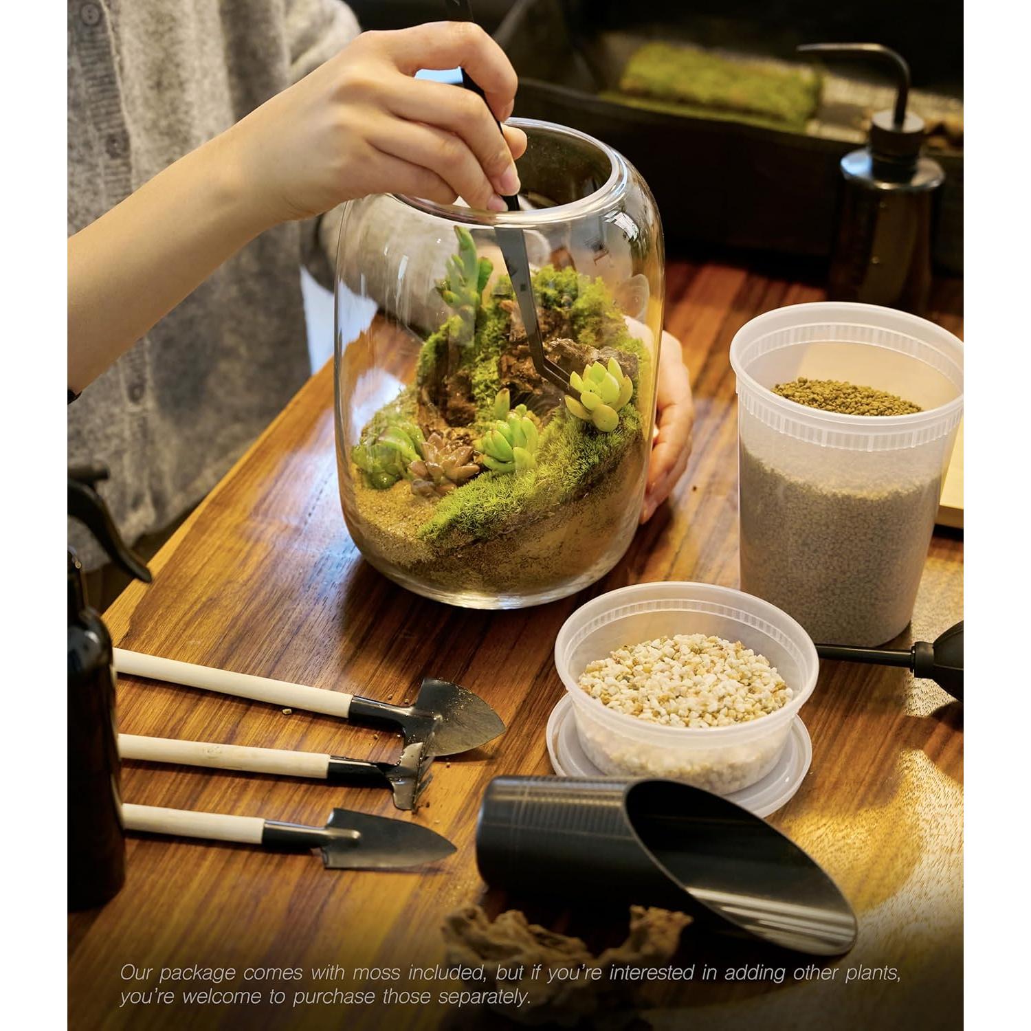 Kit de Terrario LUCKY PLANT con Luz de Crecimiento y Suministros