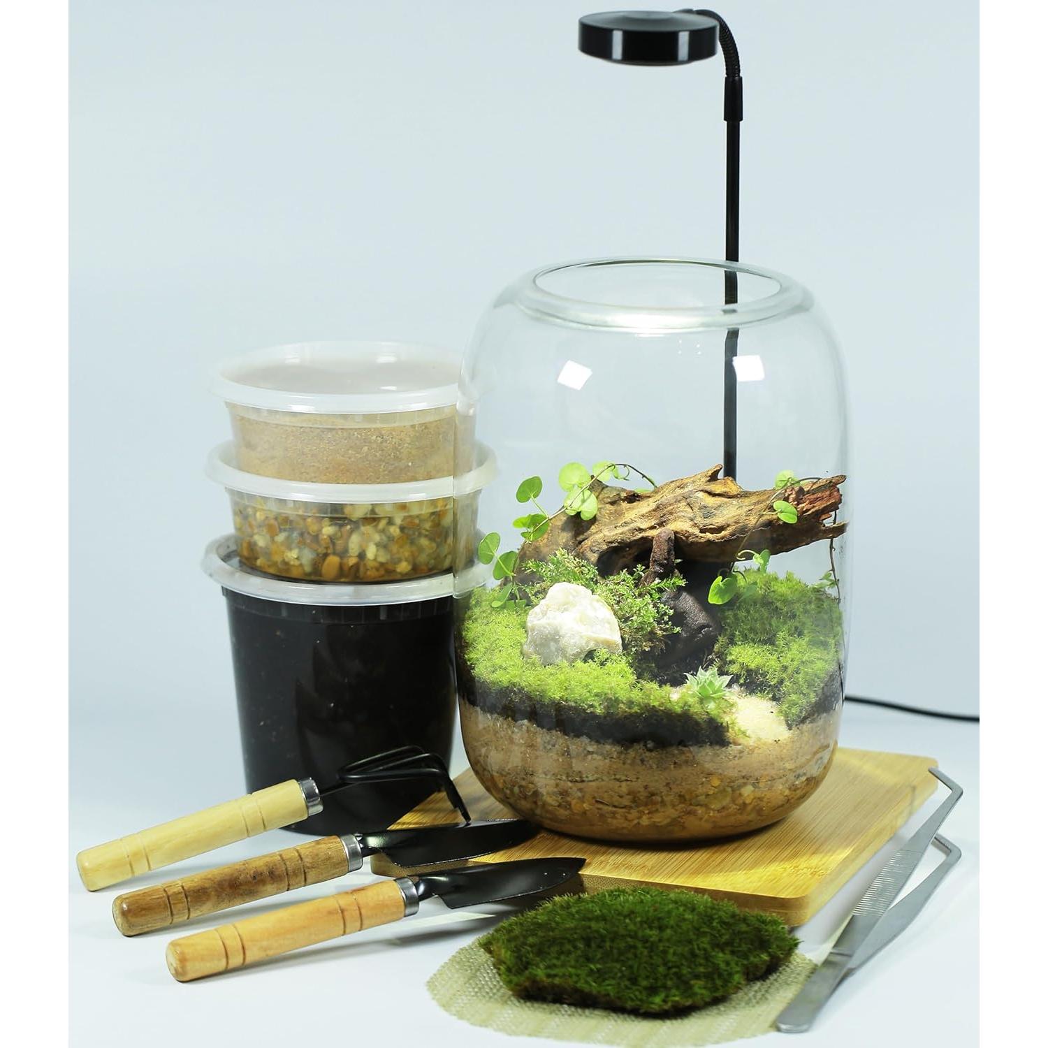 Kit de Terrario LUCKY PLANT con Luz de Crecimiento y Suministros