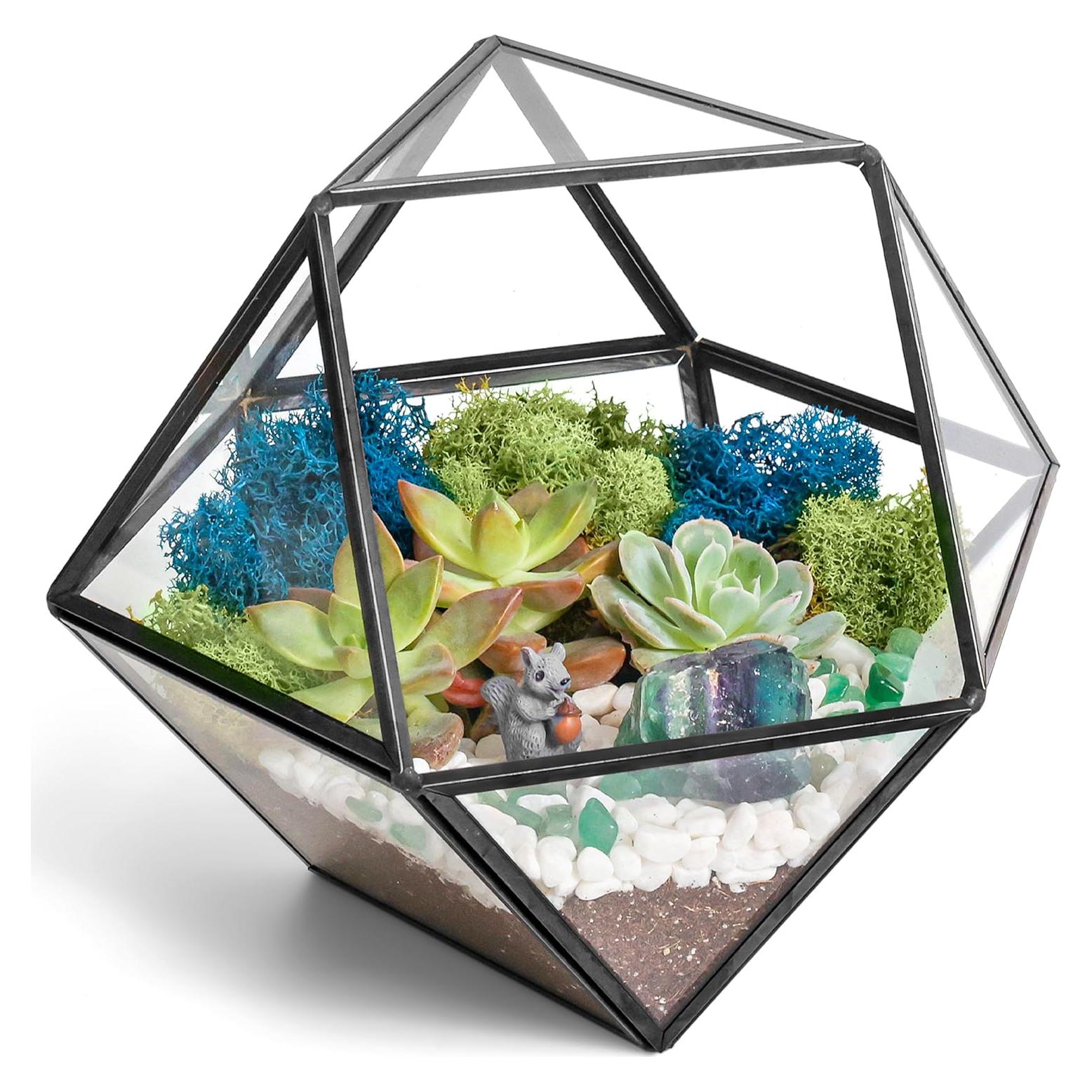 Kit de Terrario Geométrico DIY Creaciones de Nathalie 17.78 cm