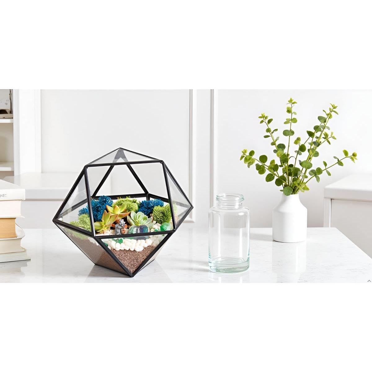 Kit de Terrario Geométrico DIY Creaciones de Nathalie 17.78 cm