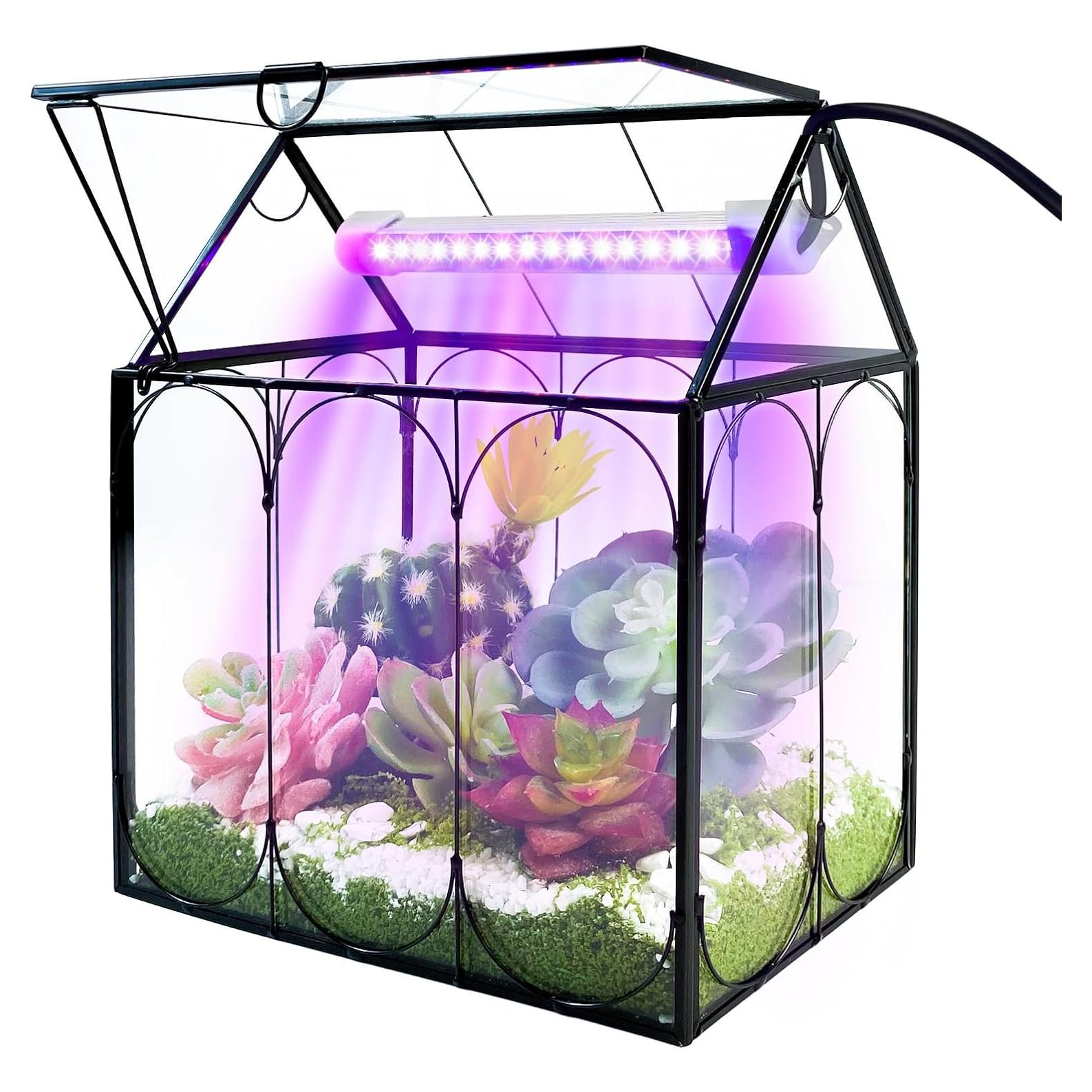 Kit de Terrario de Plantas RIFNY con Luz de Crecimiento 18x12cm