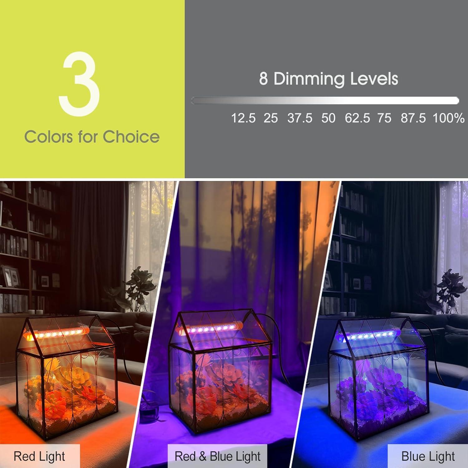 Kit de Terrario de Plantas RIFNY con Luz de Crecimiento 18x12cm