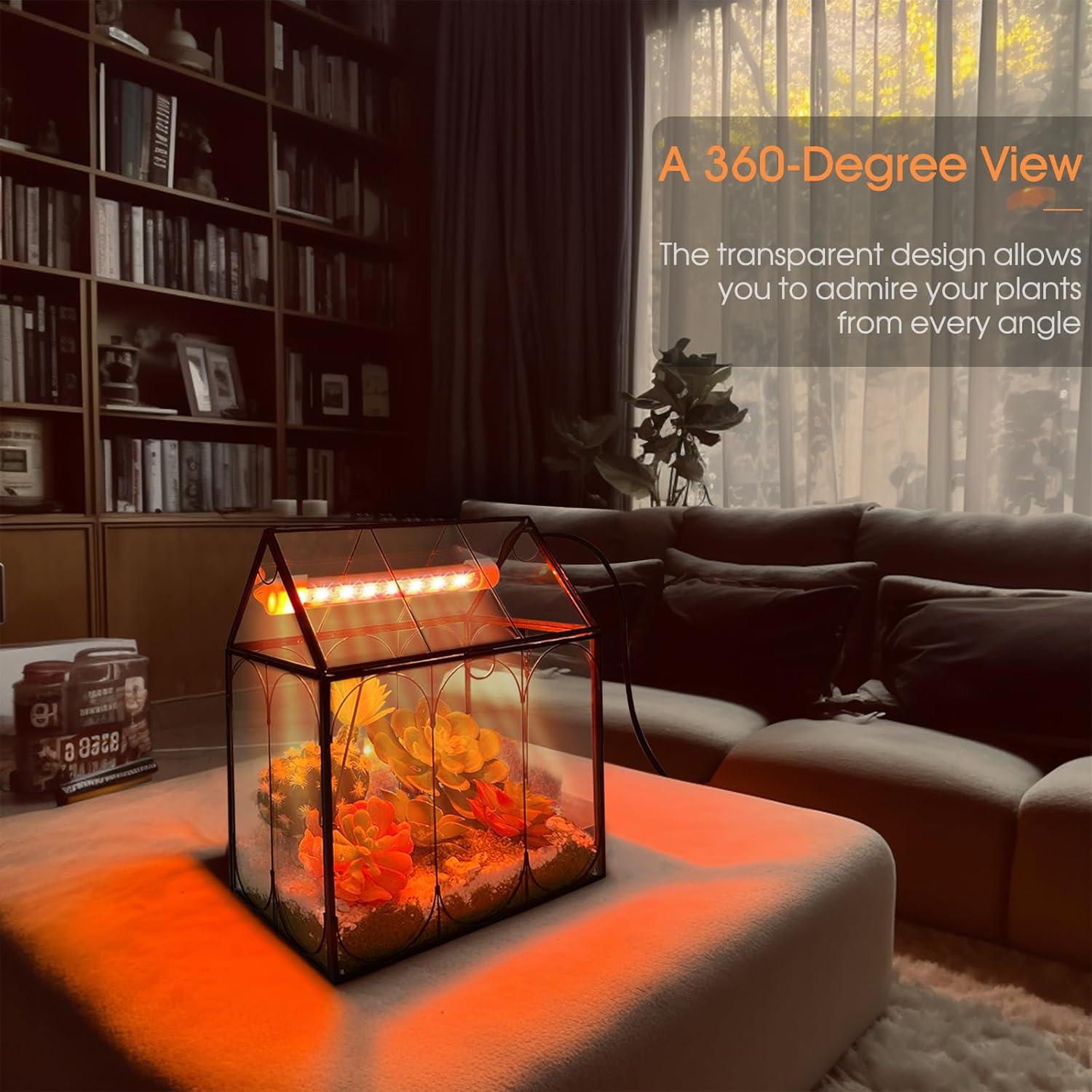 Kit de Terrario de Plantas RIFNY con Luz de Crecimiento 18x12cm