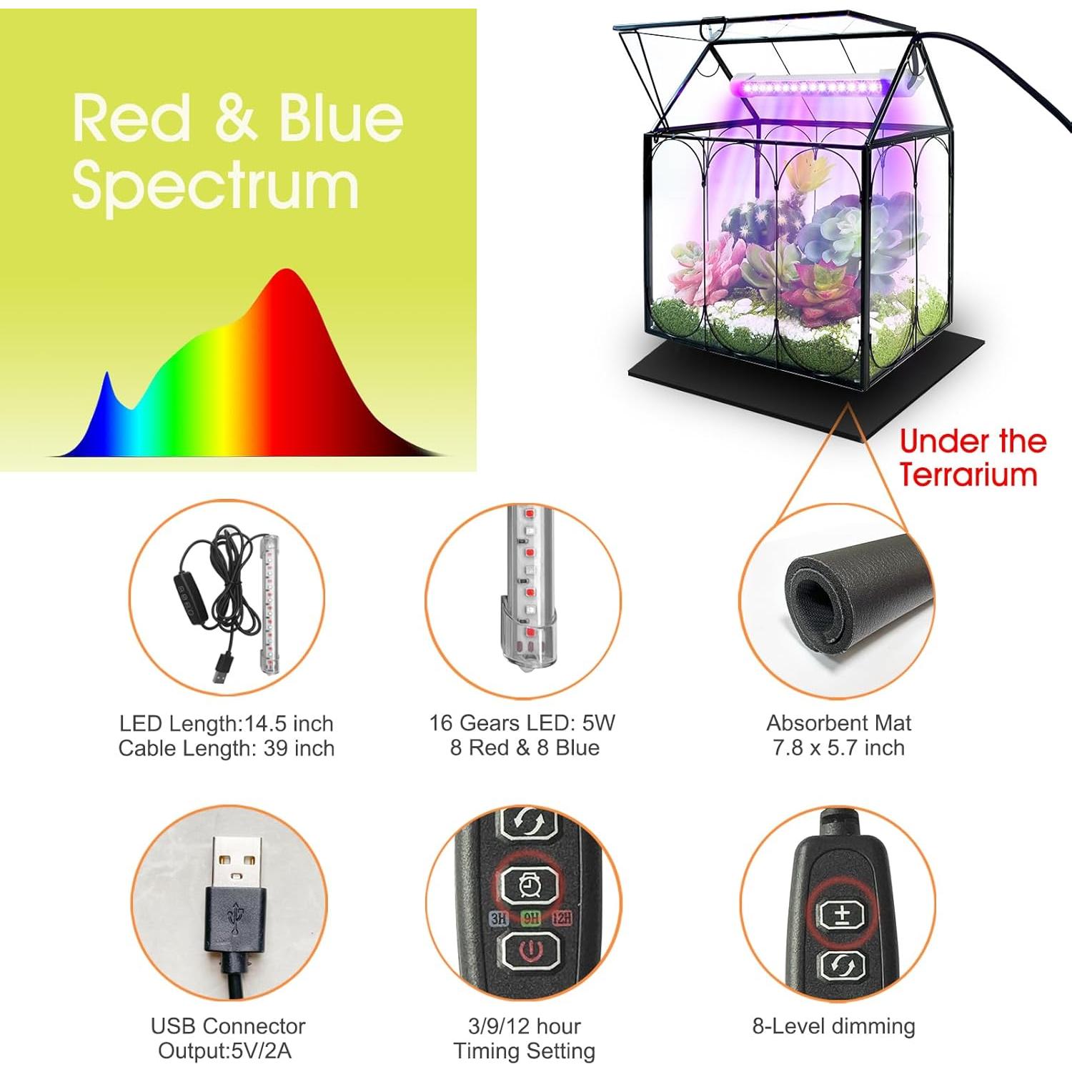 Kit de Terrario de Plantas RIFNY con Luz de Crecimiento 18x12cm