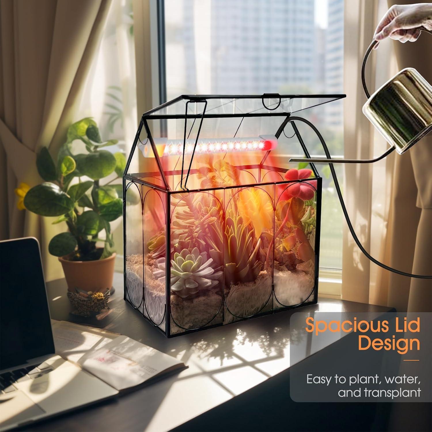 Kit de Terrario de Plantas RIFNY con Luz de Crecimiento 18x12cm