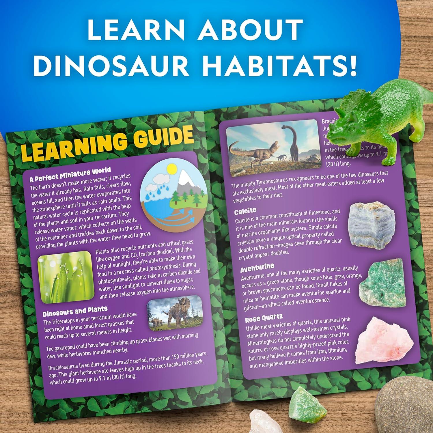 Kit de Terrario de Dinosaurios National Geographic con Luz LED