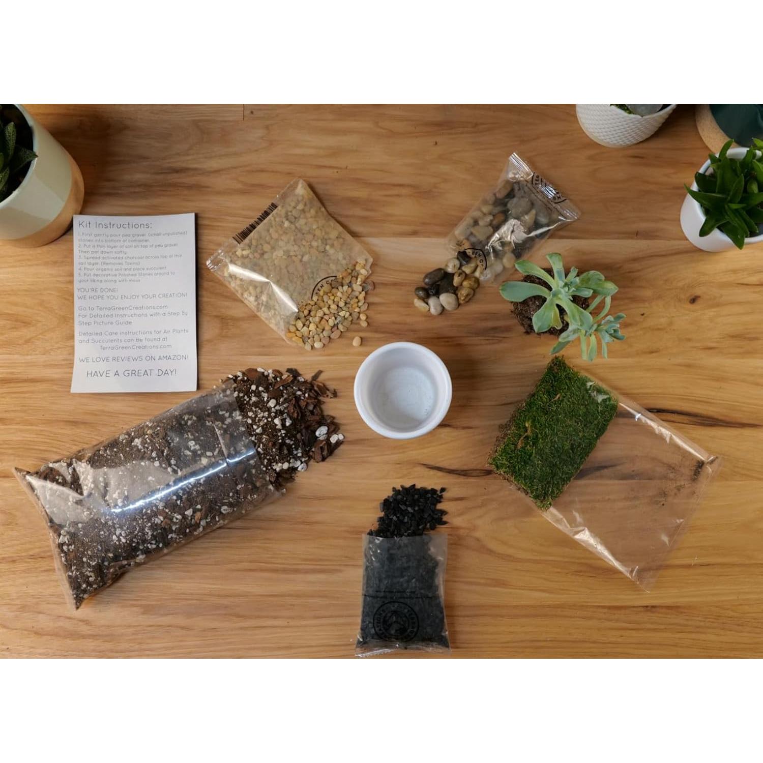 Kit de Terrario Suculento TerraGreen - Tierra, Grava y Musgo