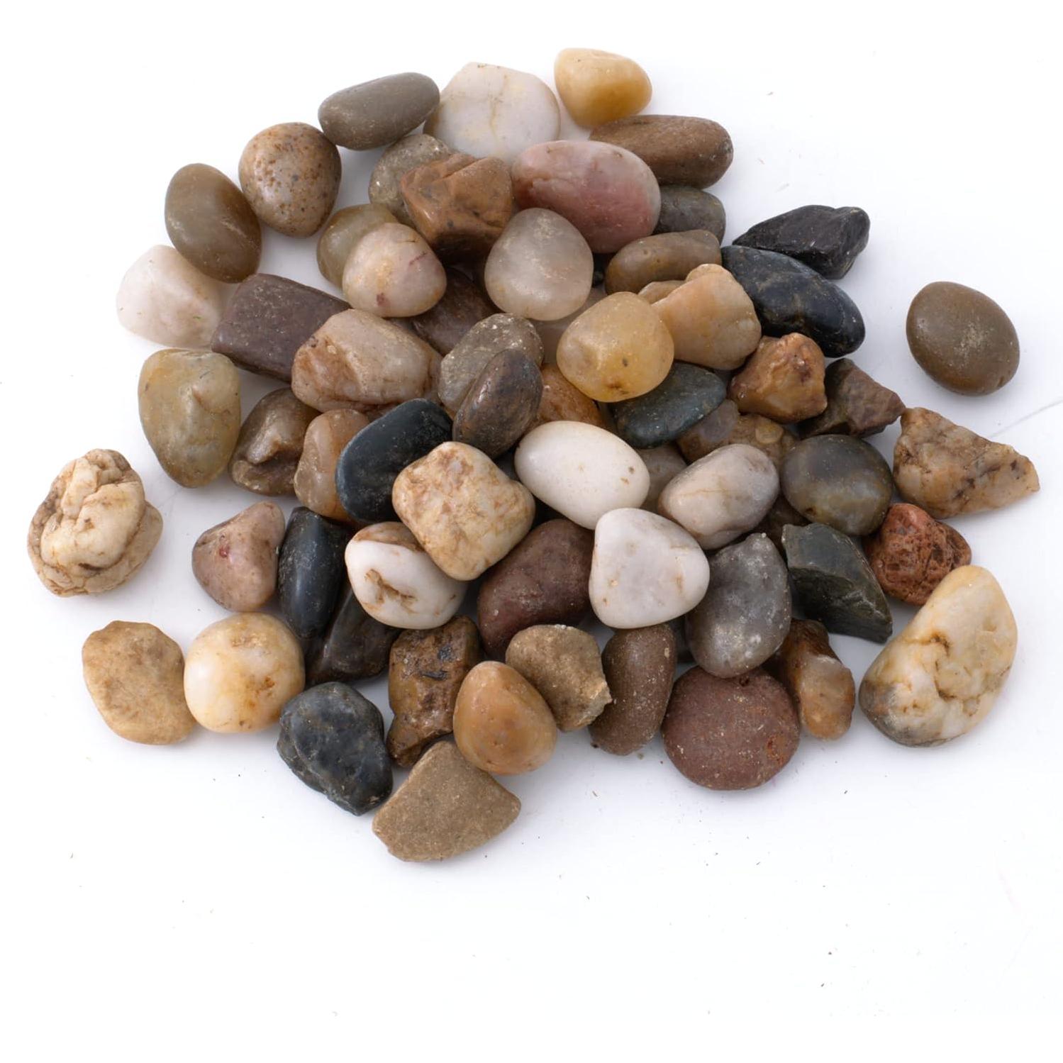 Kit de Terrario Suculento TerraGreen - Tierra, Grava y Musgo