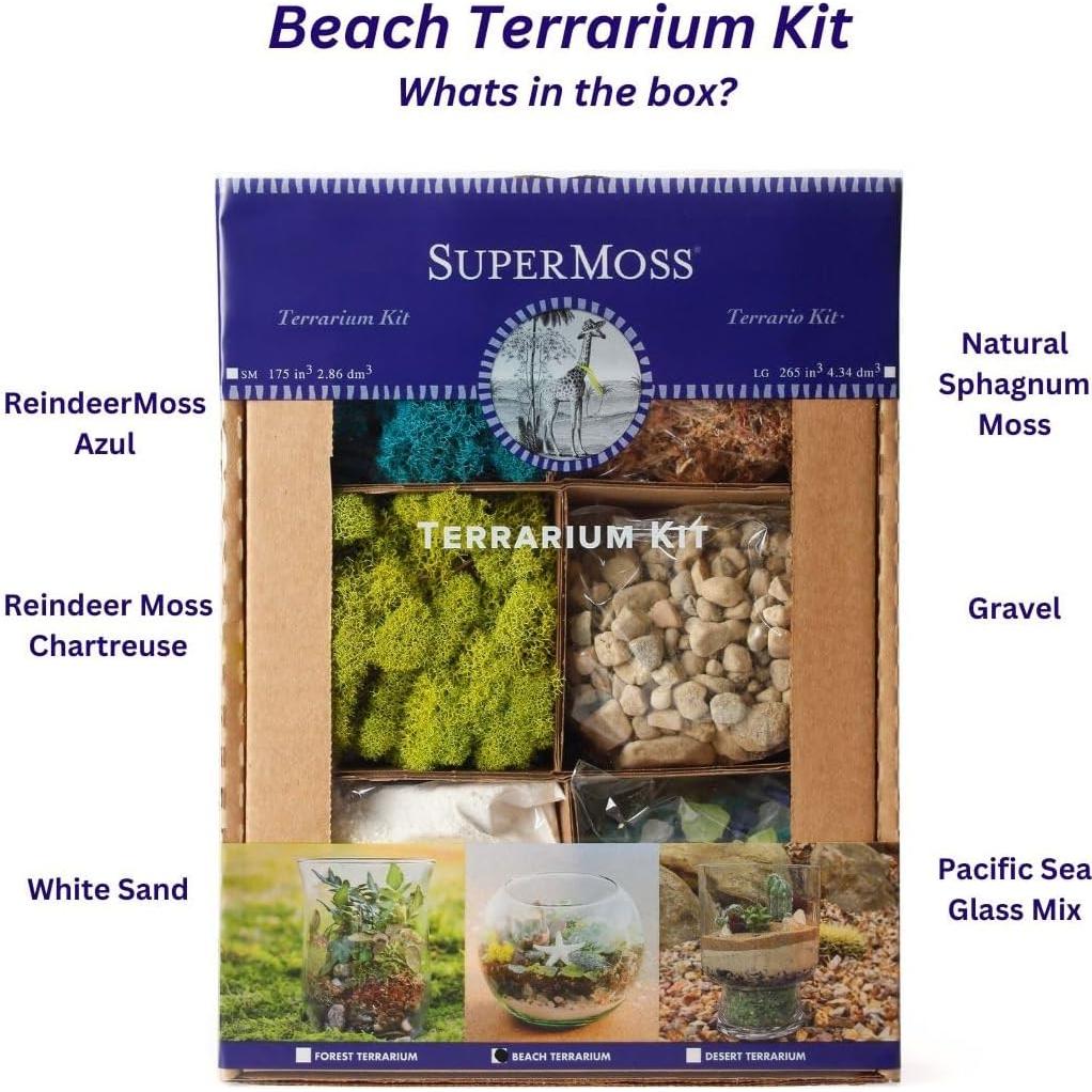 Kit de Terrario de Playa DIY SuperMoss 90422 - 113.4 g