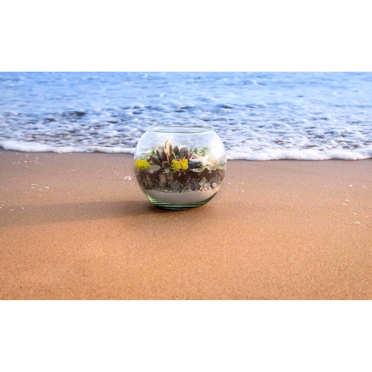 Kit de Terrario de Playa DIY SuperMoss 90422 - 113.4 g