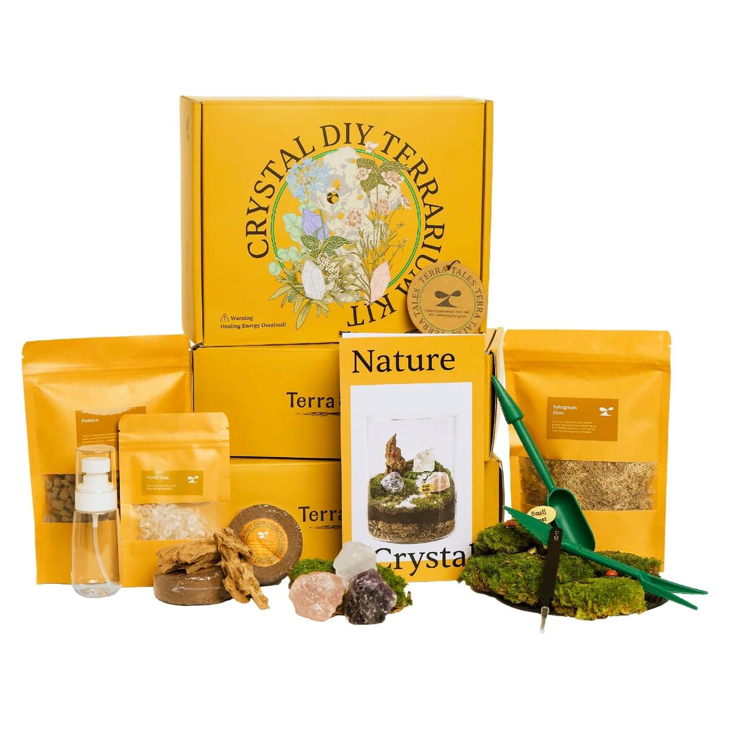 Kit de Terrario de Cristal DIY Terra Tales - Todo en Uno con Musgo y Cristales