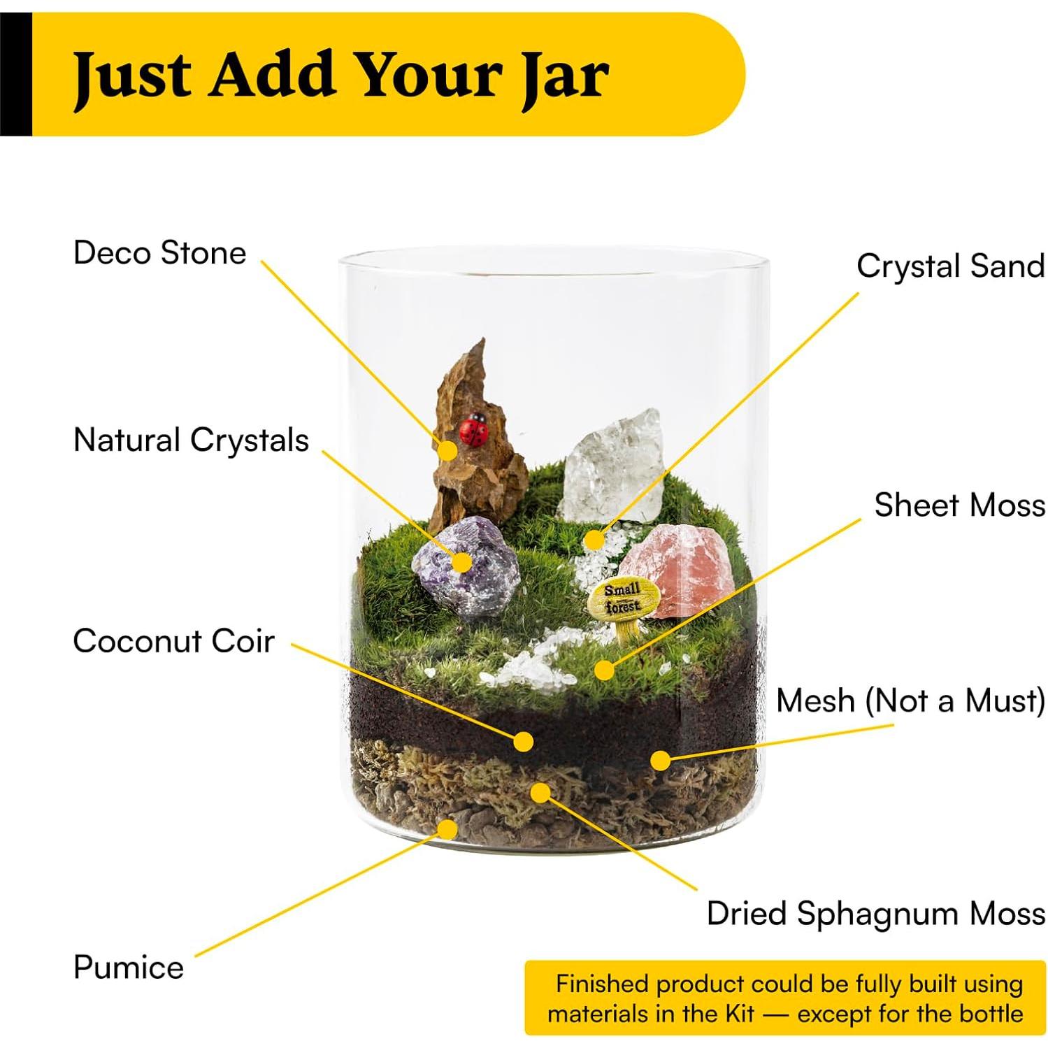 Kit de Terrario de Cristal DIY Terra Tales - Todo en Uno con Musgo y Cristales