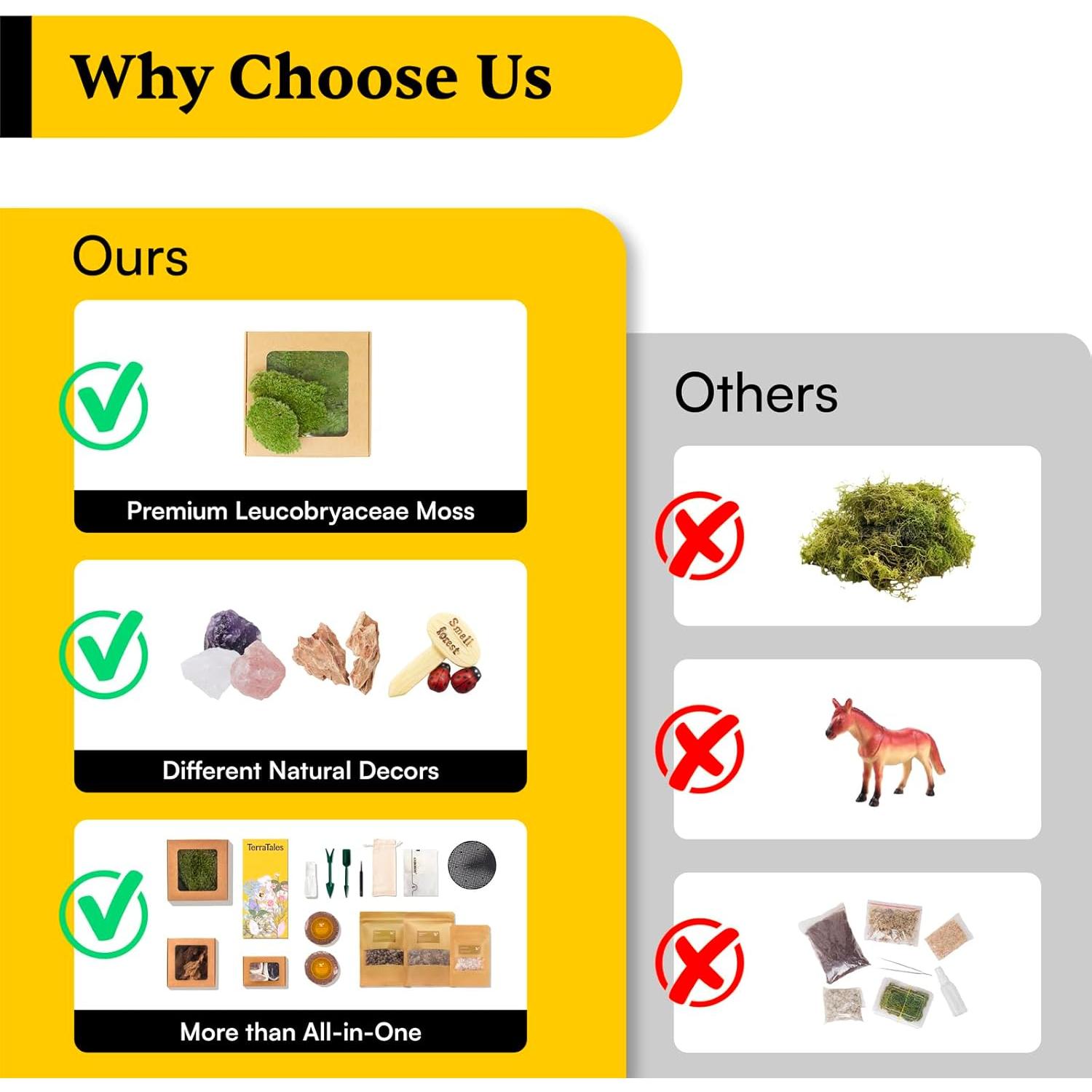 Kit de Terrario de Cristal DIY Terra Tales - Todo en Uno con Musgo y Cristales