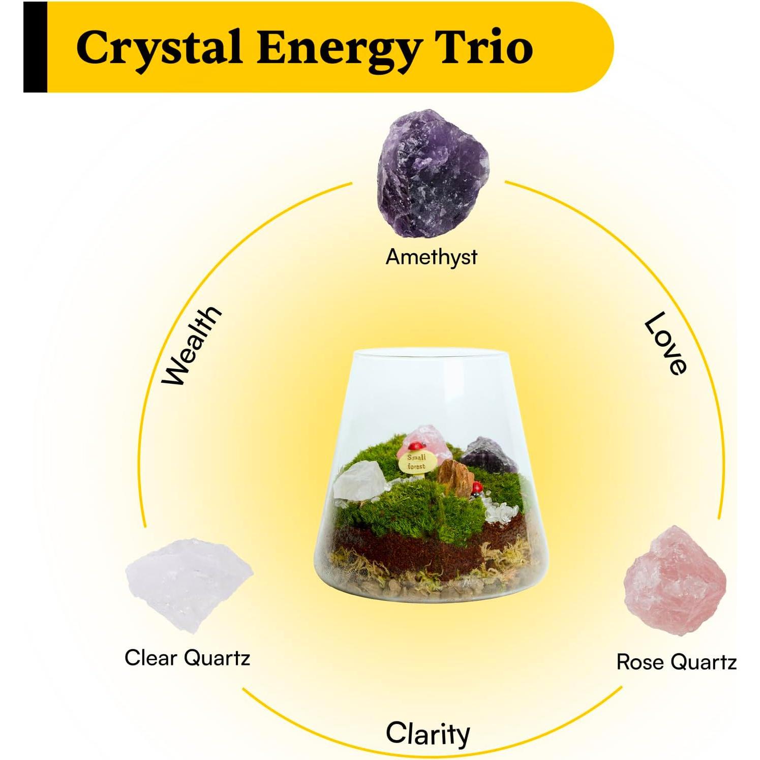 Kit de Terrario de Cristal DIY Terra Tales - Todo en Uno con Musgo y Cristales