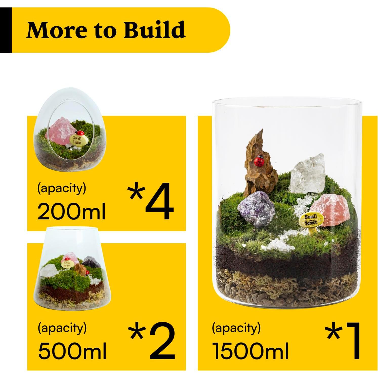 Kit de Terrario de Cristal DIY Terra Tales - Todo en Uno con Musgo y Cristales