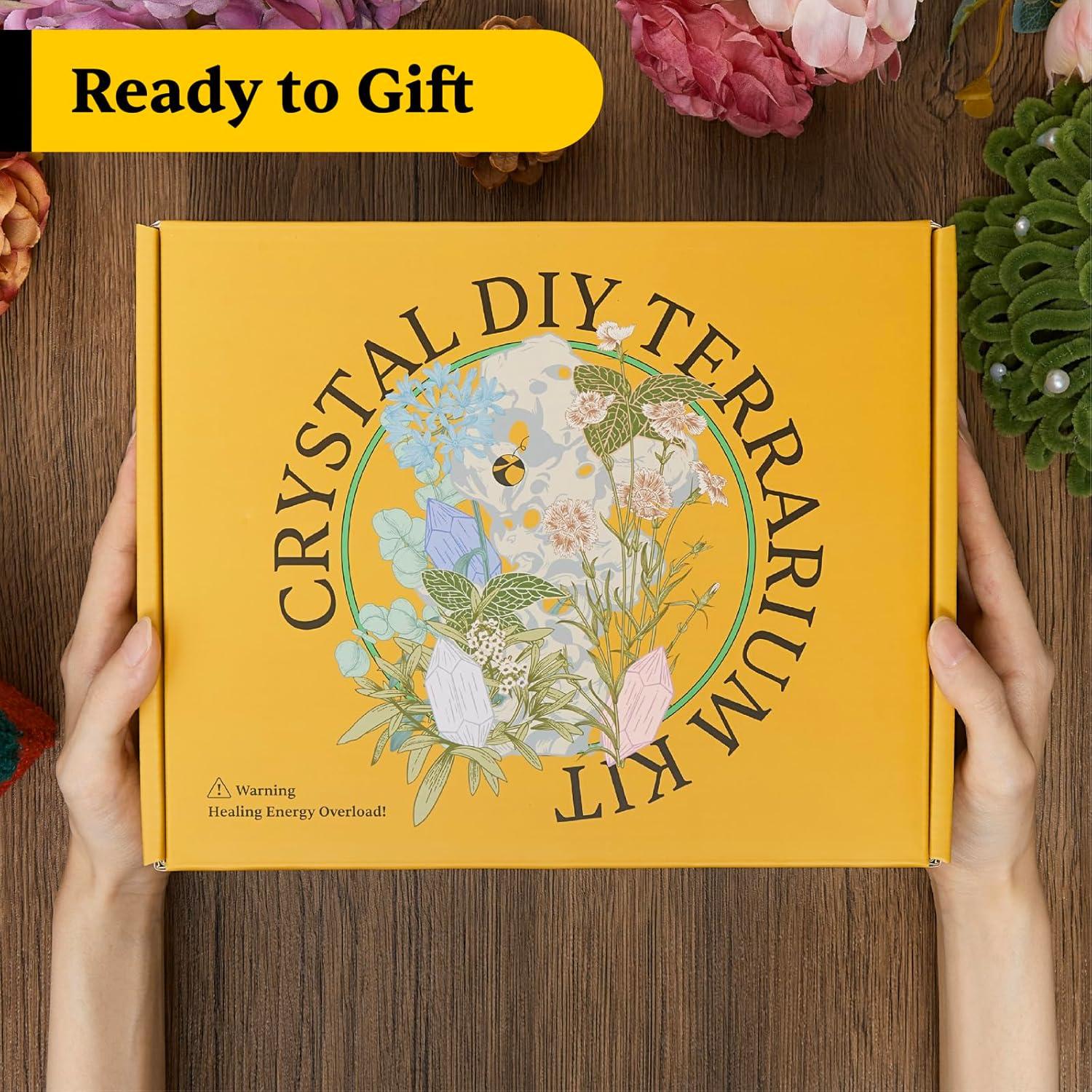 Kit de Terrario de Cristal DIY Terra Tales - Todo en Uno con Musgo y Cristales
