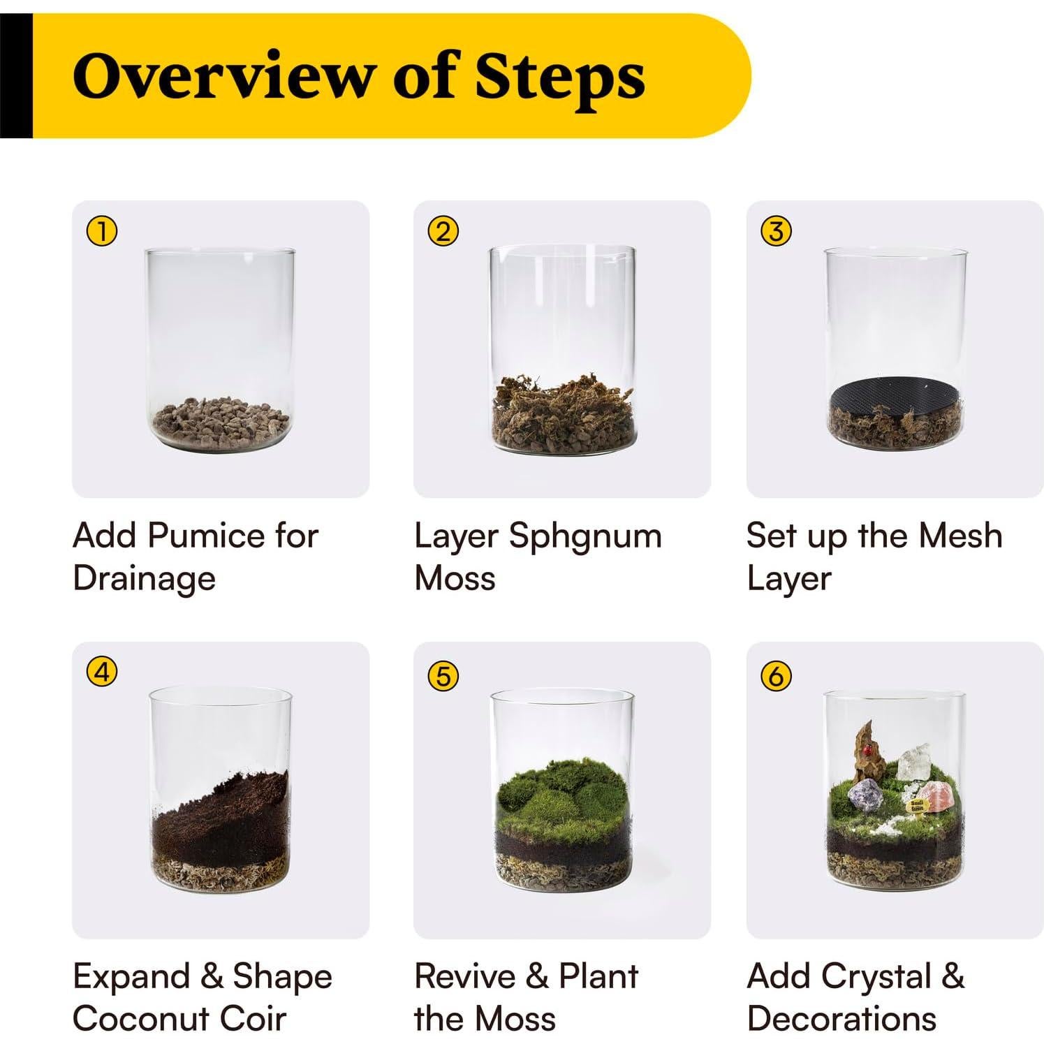 Kit de Terrario de Cristal DIY Terra Tales - Todo en Uno con Musgo y Cristales