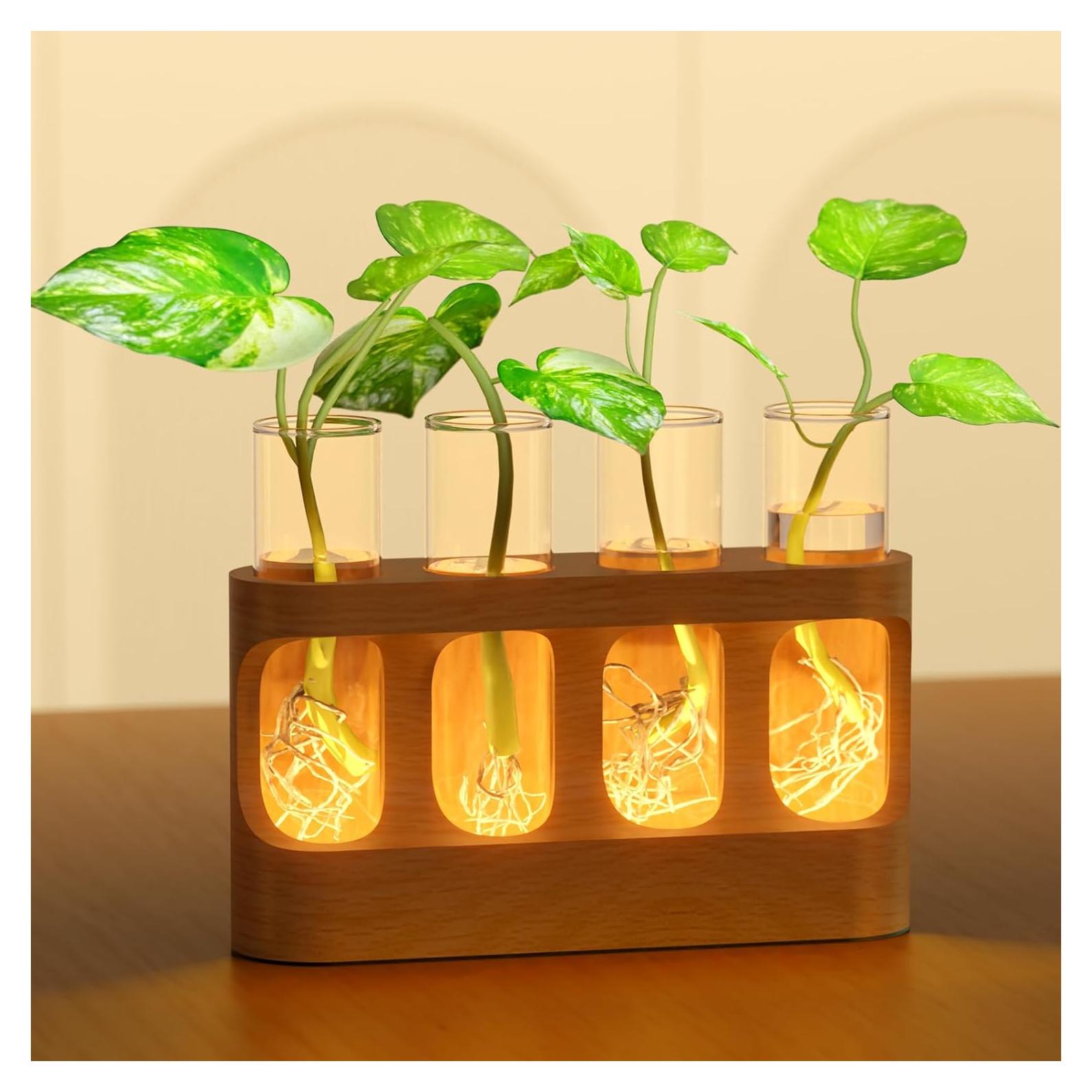 Estación de Propagación de Plantas Giunn con Luz LED Ajustable