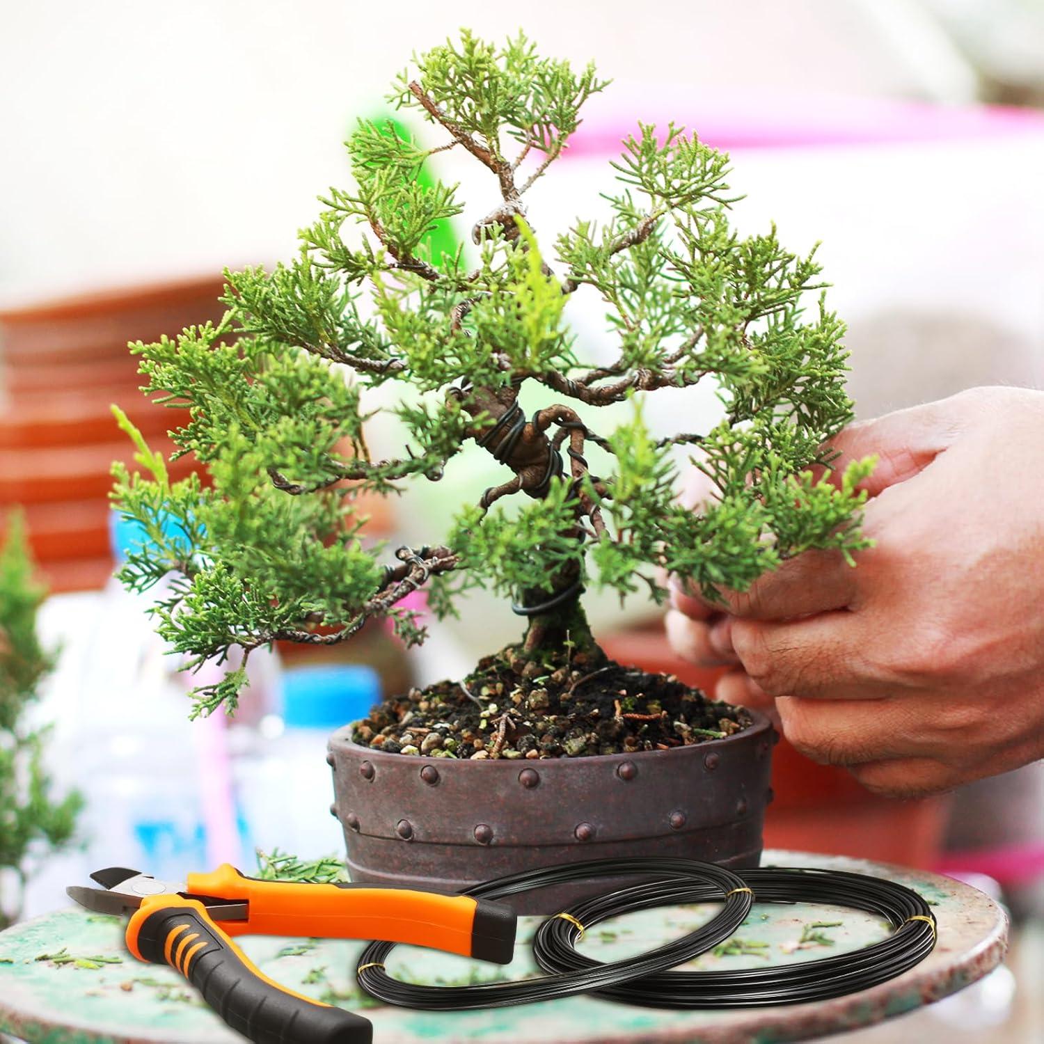 Juego de Alambre de Bonsai Mudder 5 Rollos 160 Pies 1/1.5/2 mm