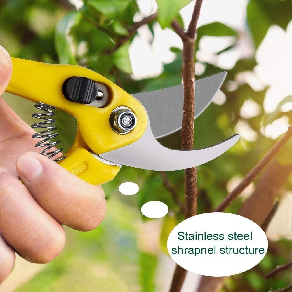 Conjunto de Herramientas de Bonsai MOSFiATA 13 Pcs Acero Carbono