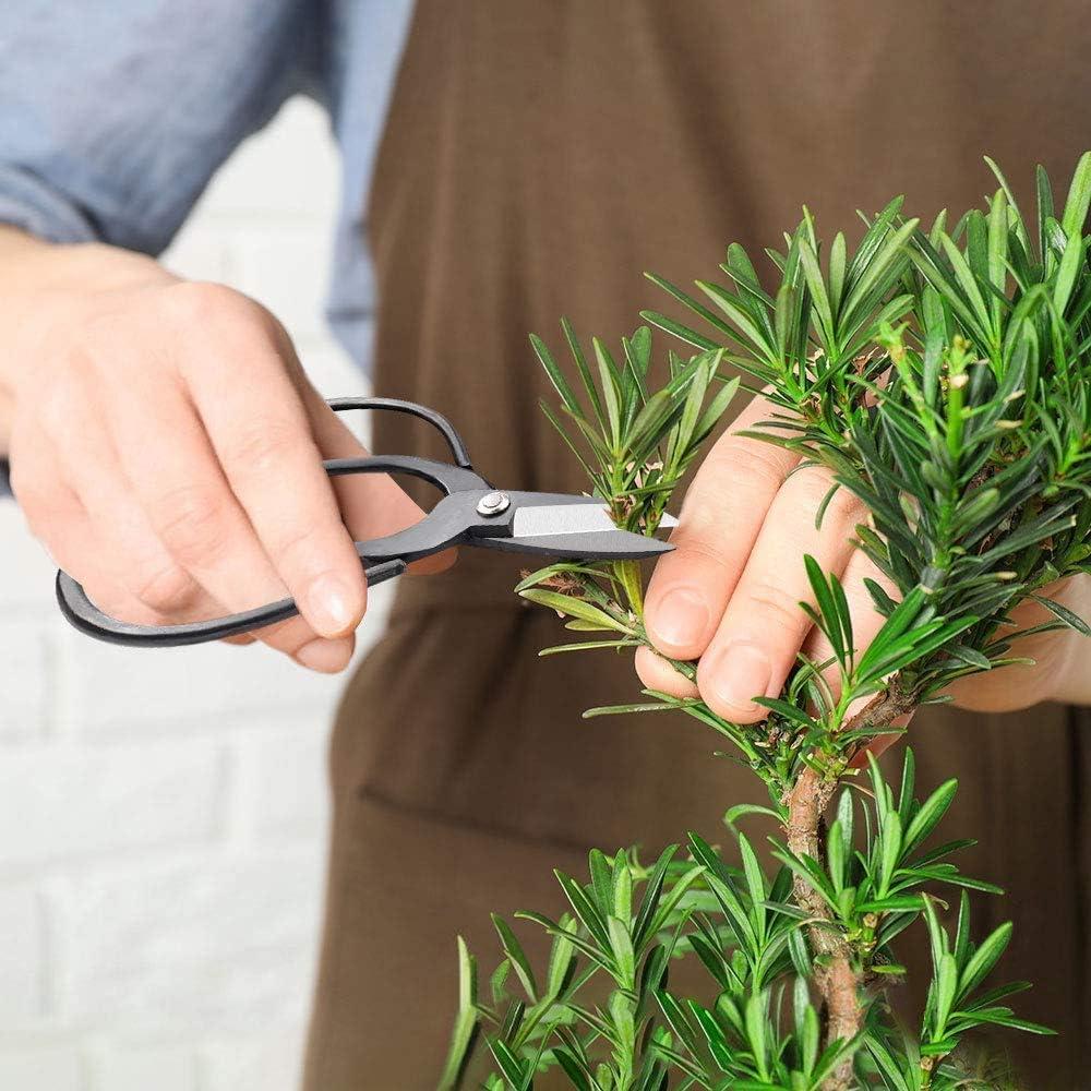 Conjunto de Herramientas de Bonsai MOSFiATA 13 Pcs Acero Carbono