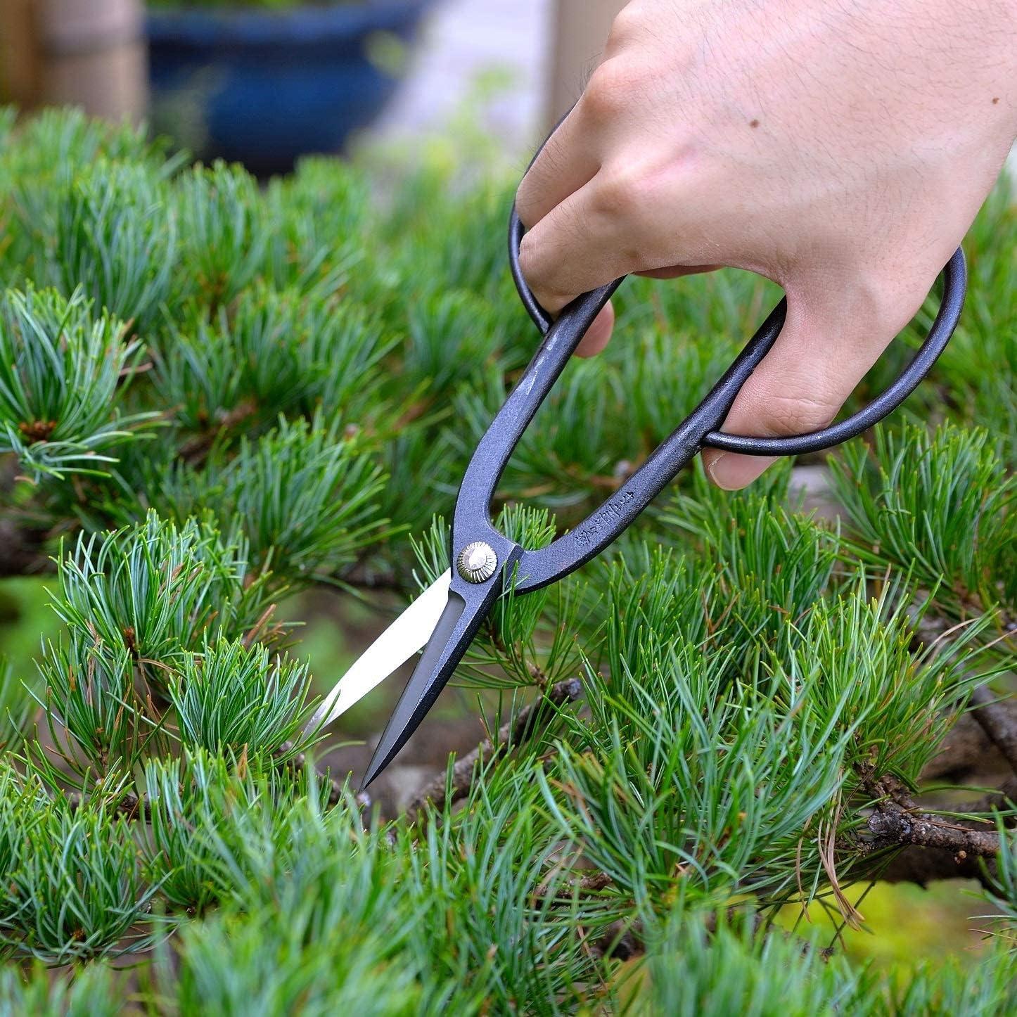 Juego de Herramientas de Bonsái KAKURI 7 Pcs Hecho en Japón