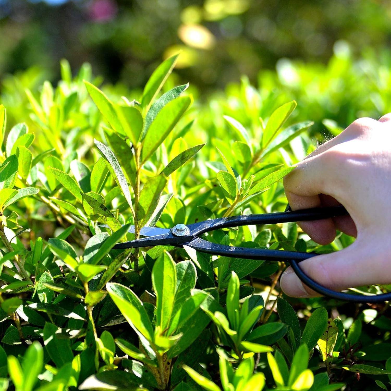 Juego de Herramientas de Bonsái KAKURI 7 Pcs Hecho en Japón