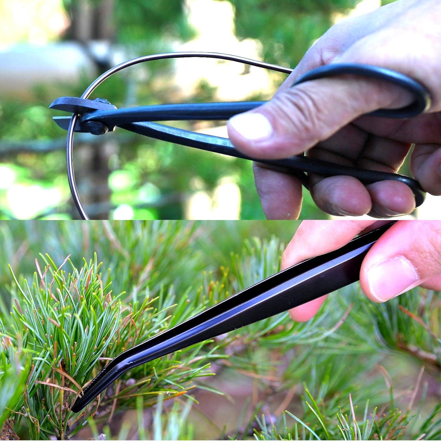 Juego de Herramientas de Bonsái KAKURI 7 Pcs Hecho en Japón