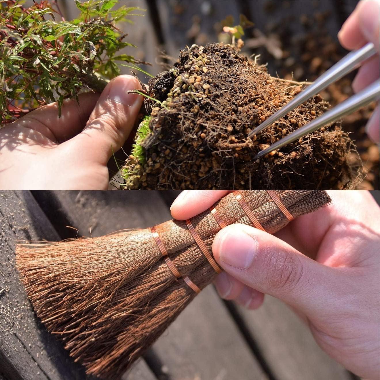Juego de Herramientas de Bonsái KAKURI 7 Pcs Hecho en Japón