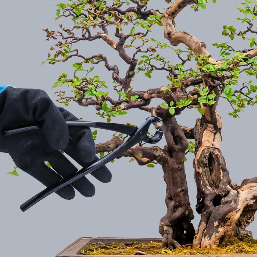 Juego de Herramientas para Bonsai LEONTOOL - Acero Inoxidable