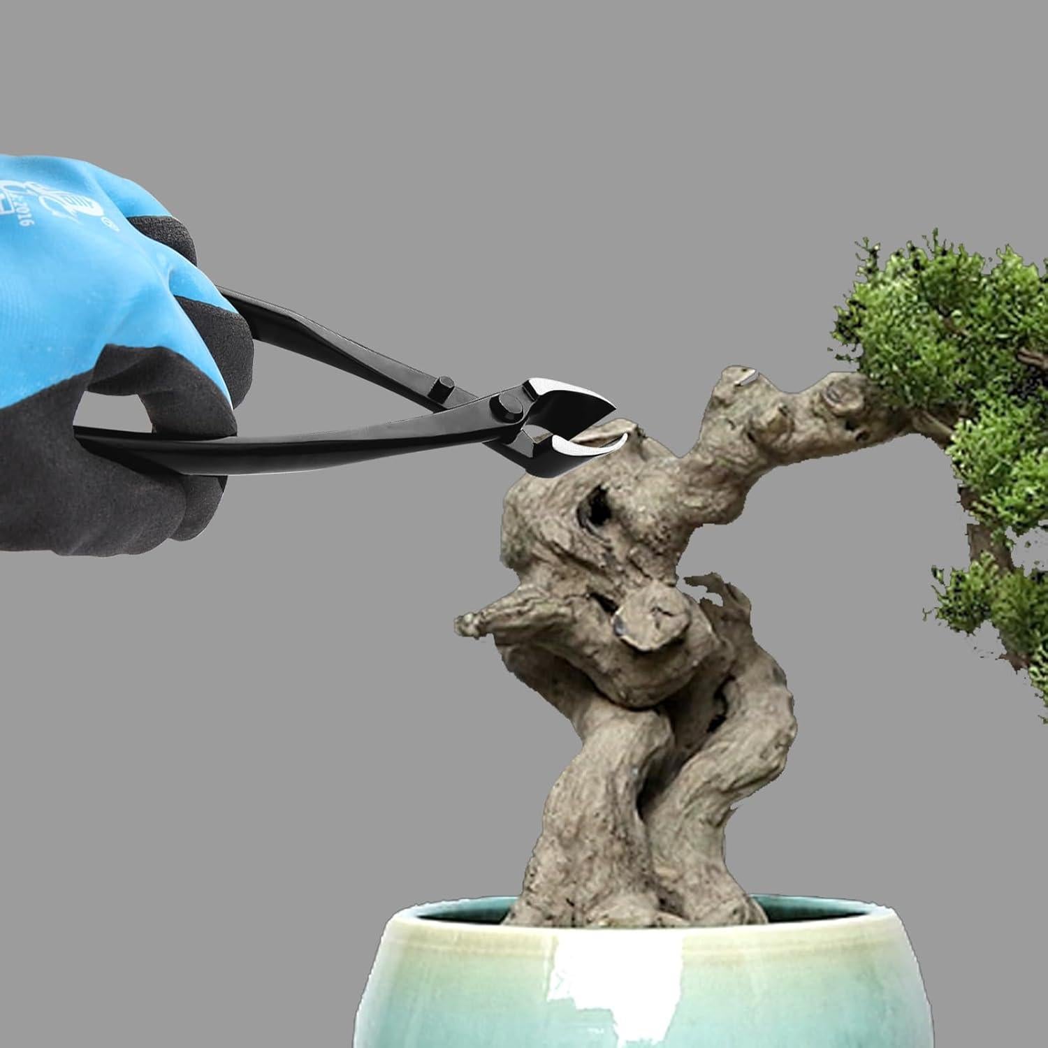 Juego de Herramientas para Bonsai LEONTOOL - Acero Inoxidable