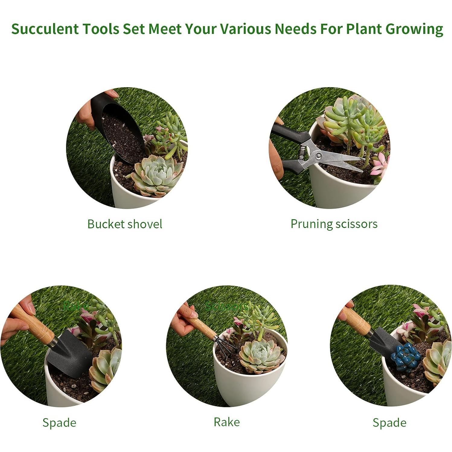 Juego de Herramientas para Suculentas Ouspec - 5 Piezas